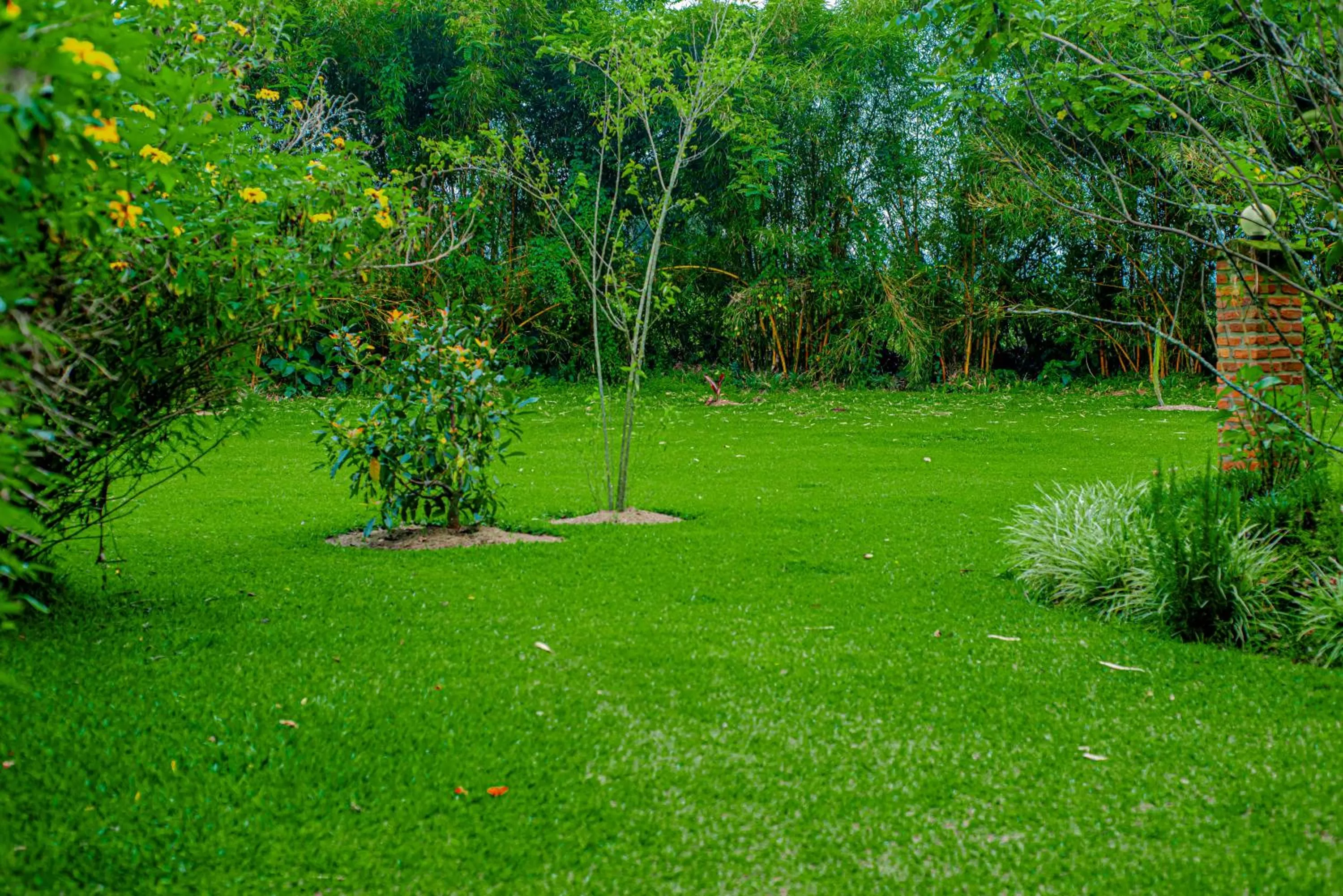 Garden in Fravan Eco Resort By Apogee