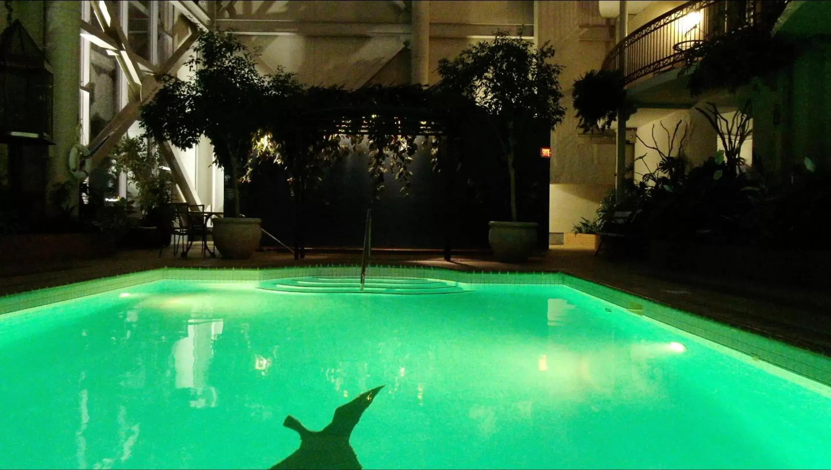 Night, Swimming Pool in Hotel L'Oie des neiges