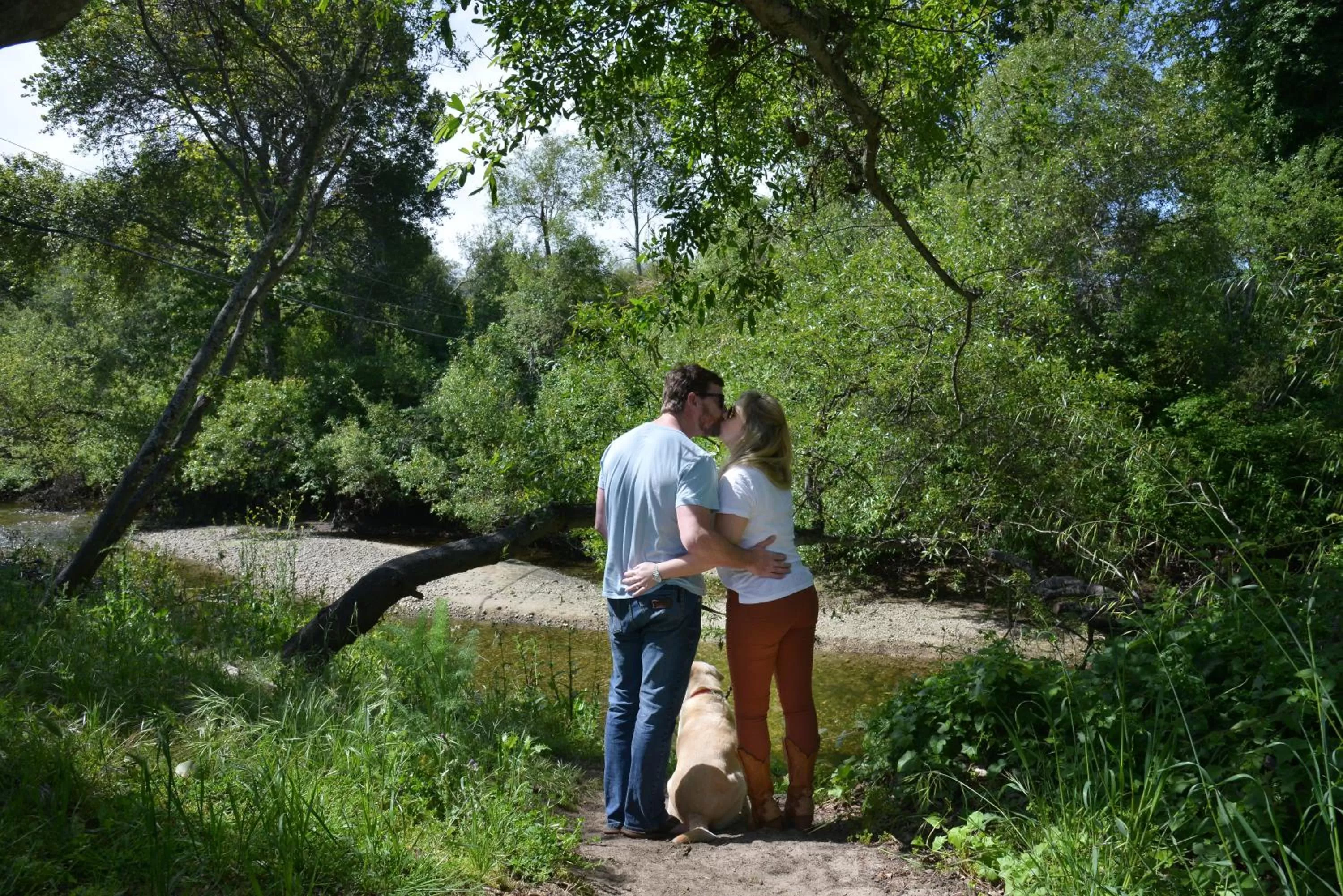 Garden view in Carmel River Inn & Cottages