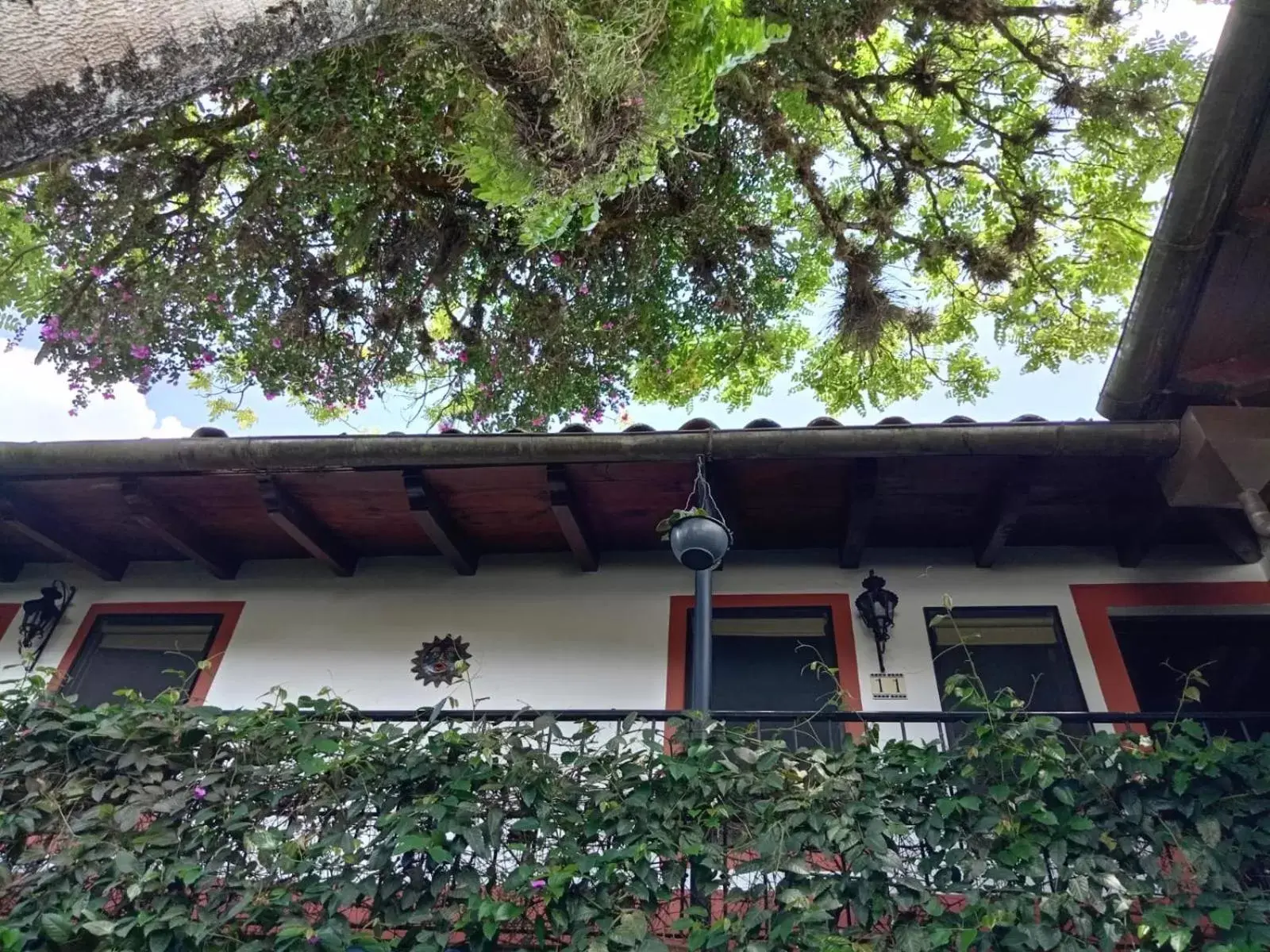 Patio, Property Building in Hotel Boutique Casabella