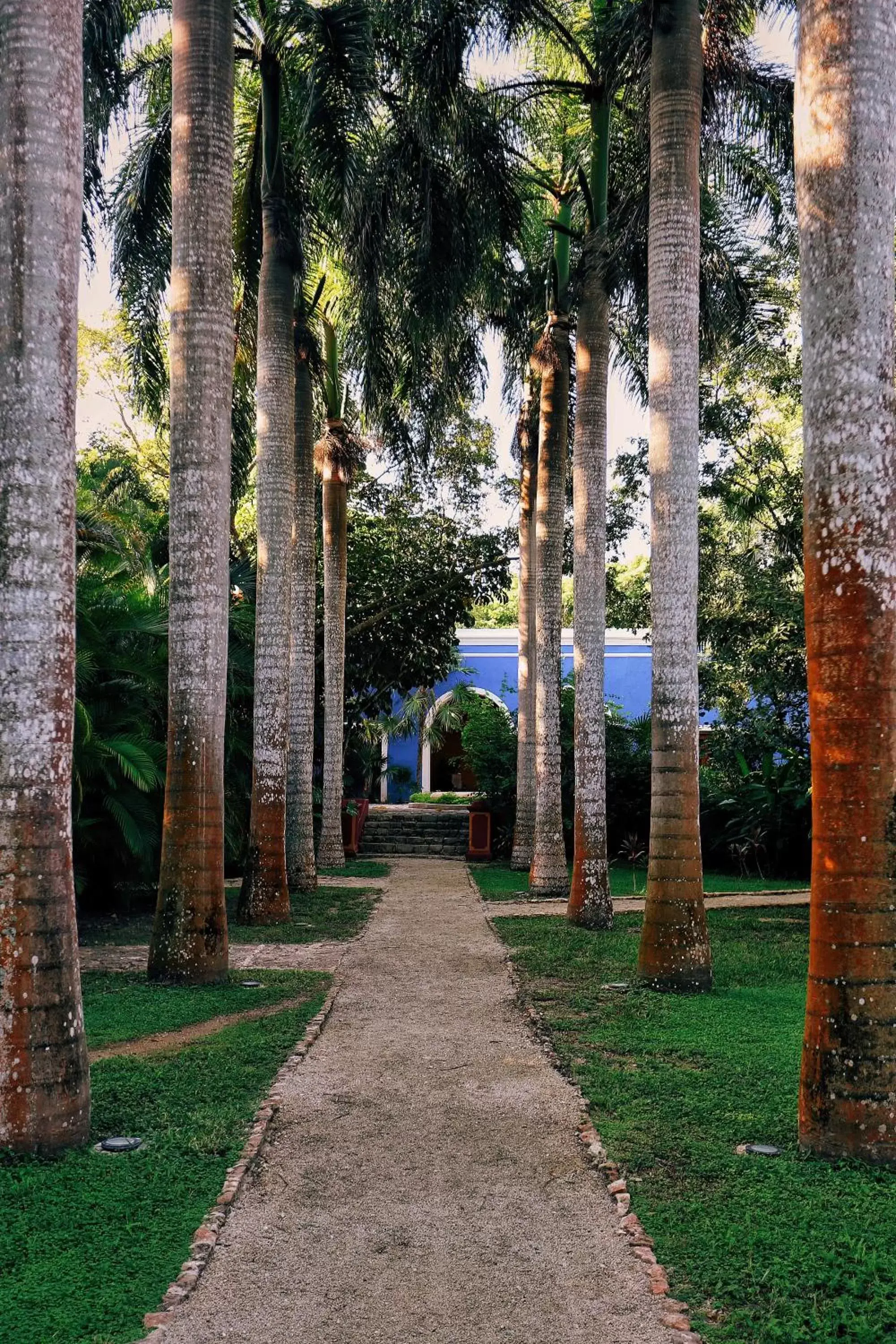 Garden view, Garden in Hacienda San Jose