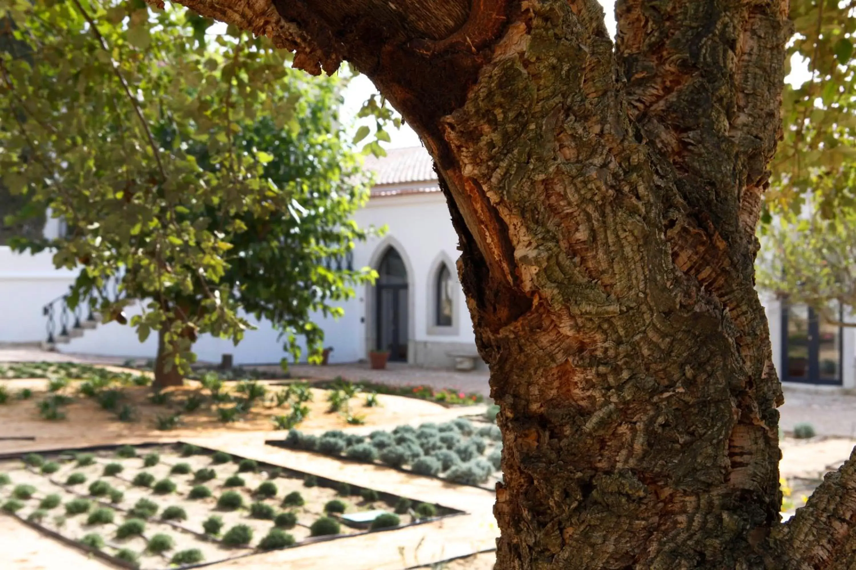 Garden in Hotel Casa Palmela - Small Luxury Hotels of The World, Hotel & Villas