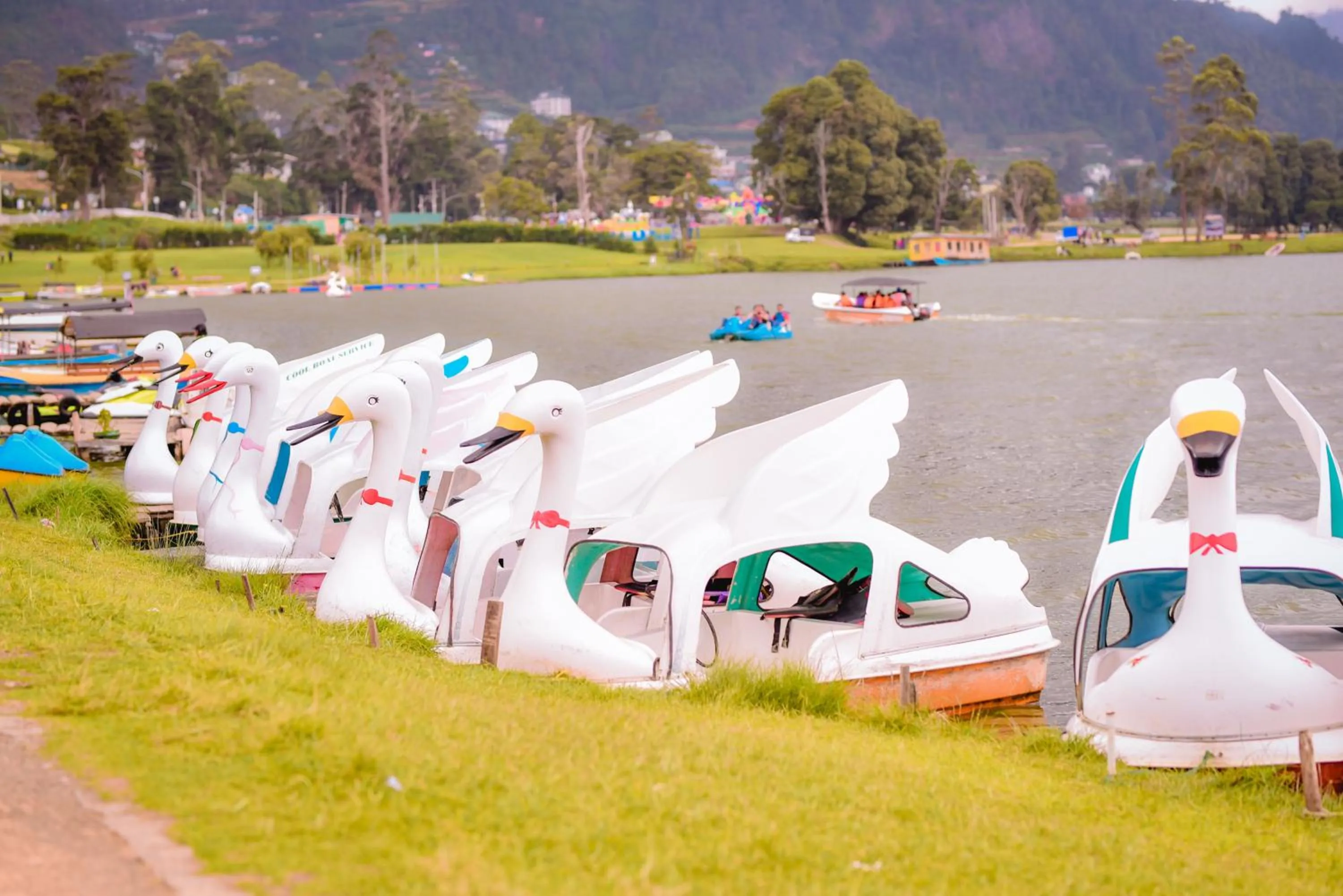 Nearby landmark in Forest View Lodge