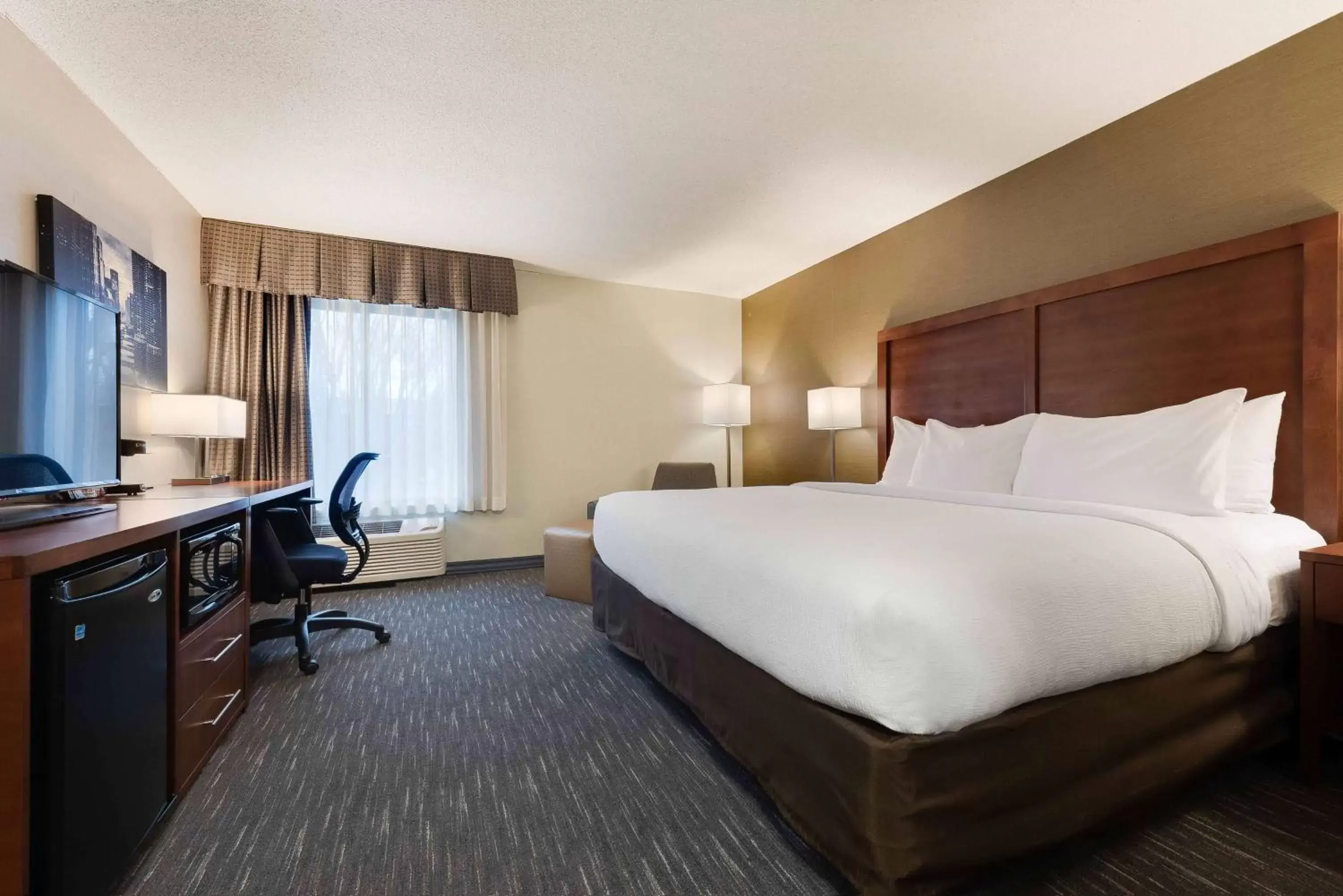 King Room in Best Western Chicago - Downers Grove