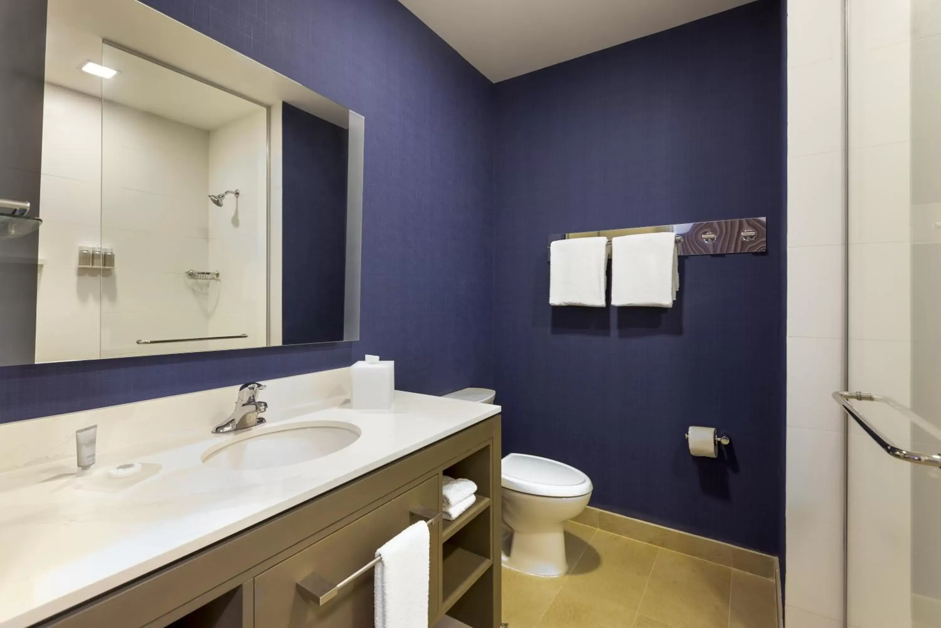 Bathroom in Residence Inn by Marriott Playa del Carmen