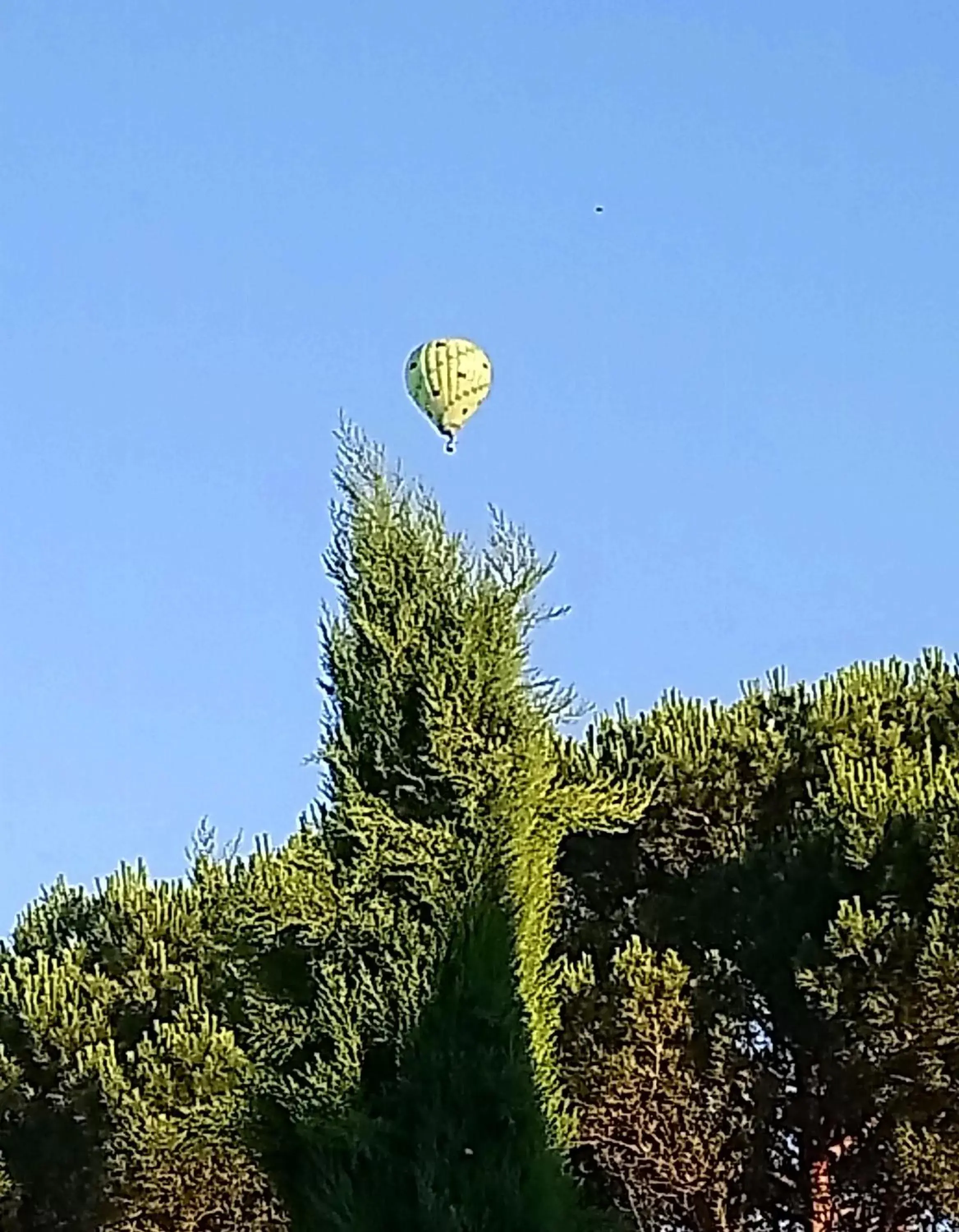 Entertainment in Fleurs de Cosmos