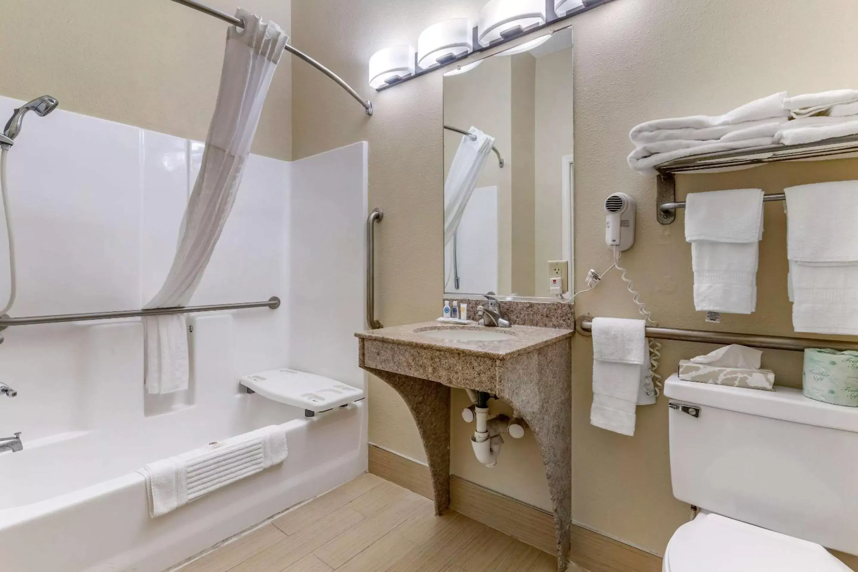 Bathroom in Comfort Inn & Suites Statesboro - University Area