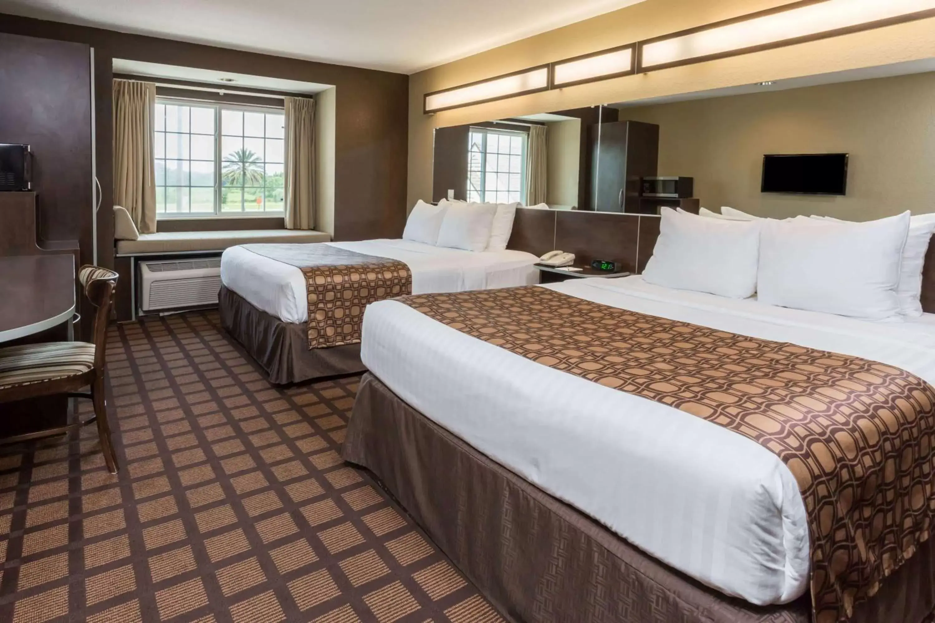 Photo of the whole room, Bed in Microtel Inn & Suites by Wyndham Jacksonville Airport