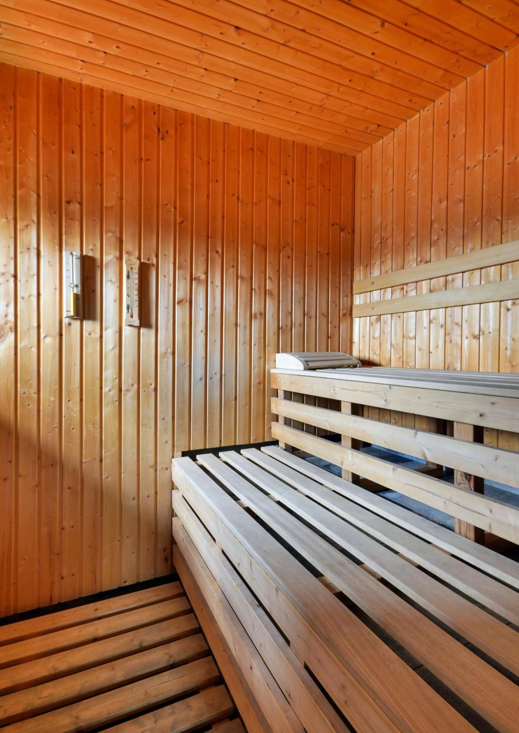 Sauna in Hotel RICHTR