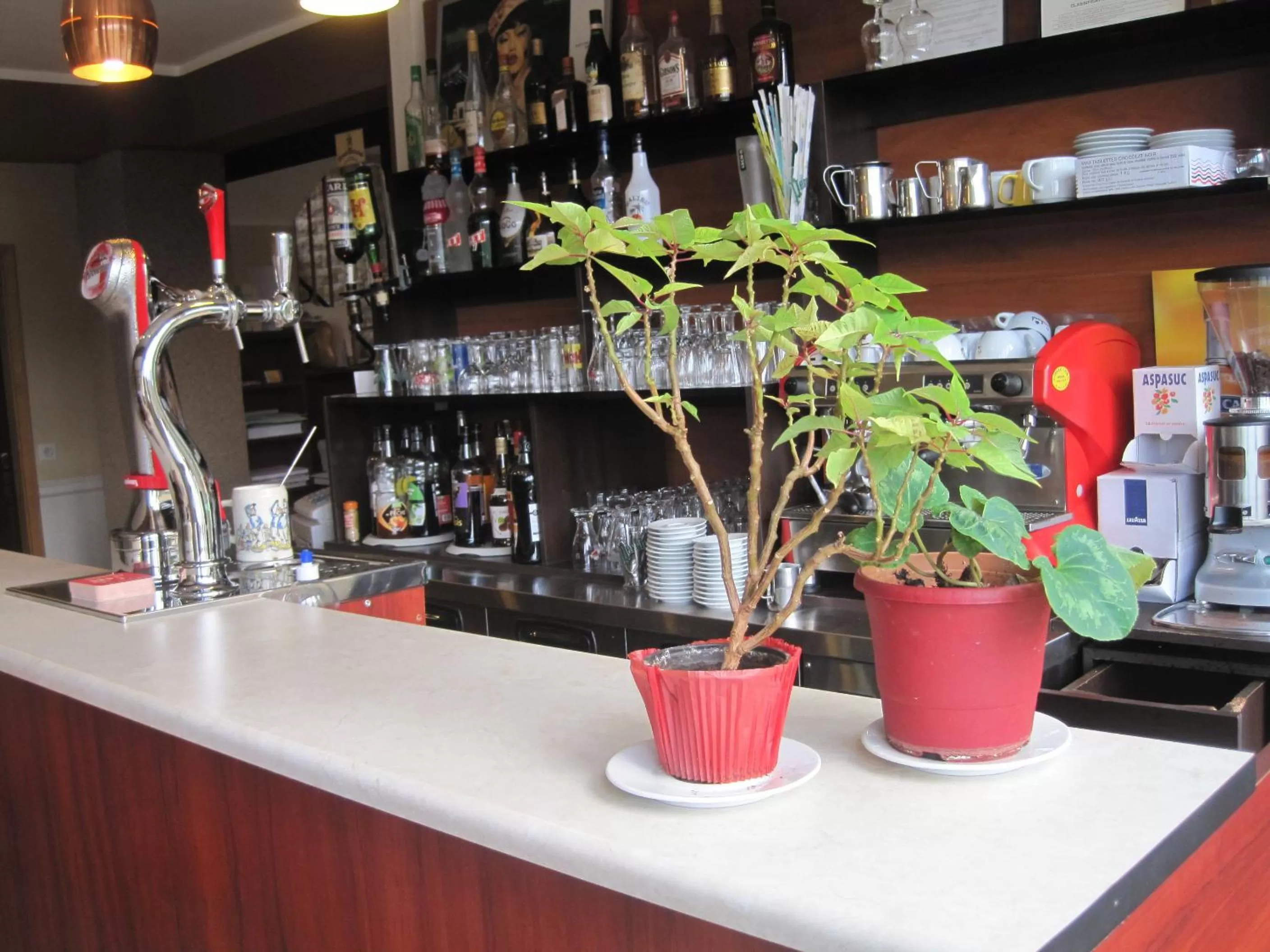 Other in Hotel Restaurant Rive Gauche