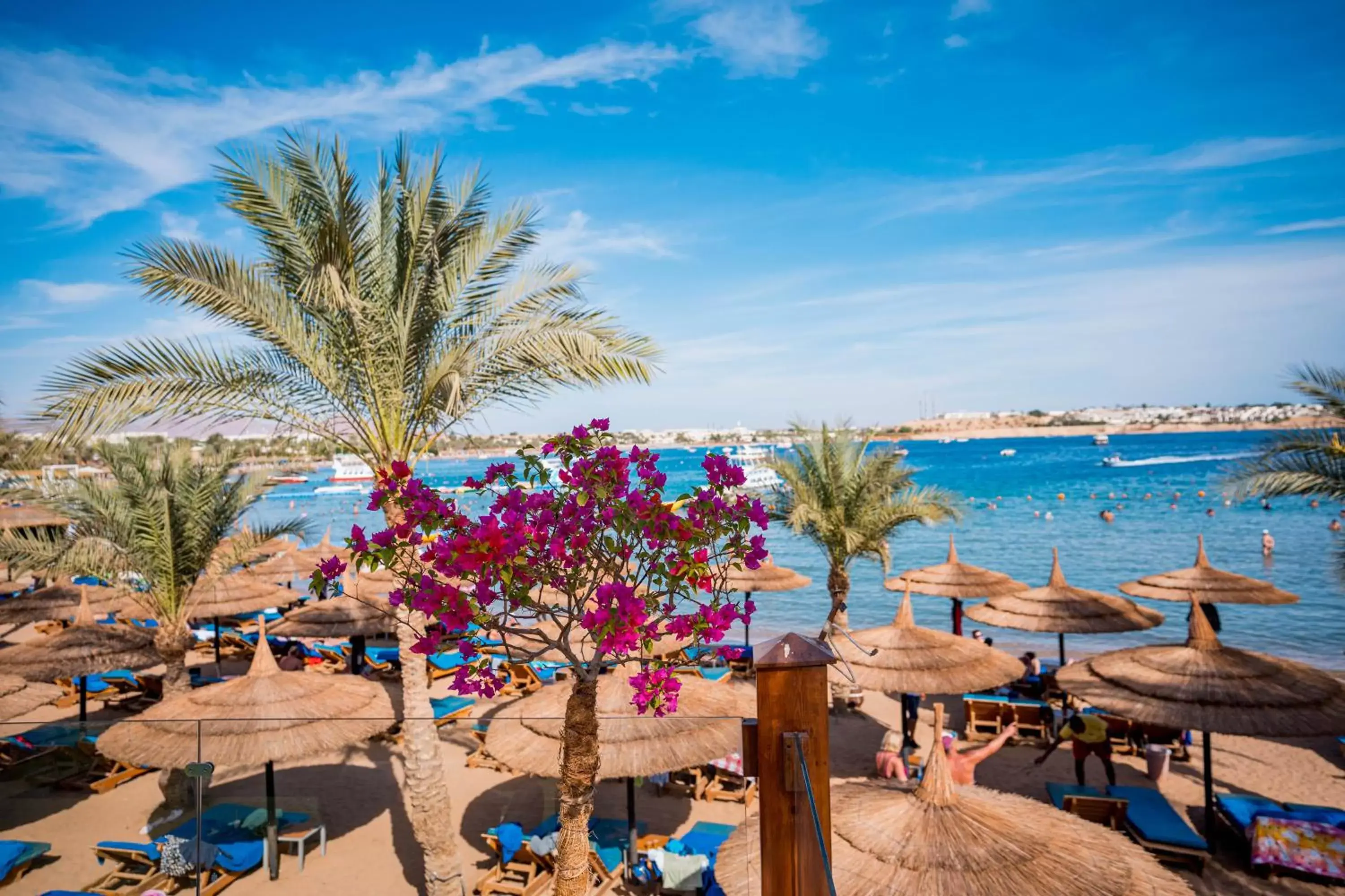 Beach, Pool View in Marina Sharm Hotel