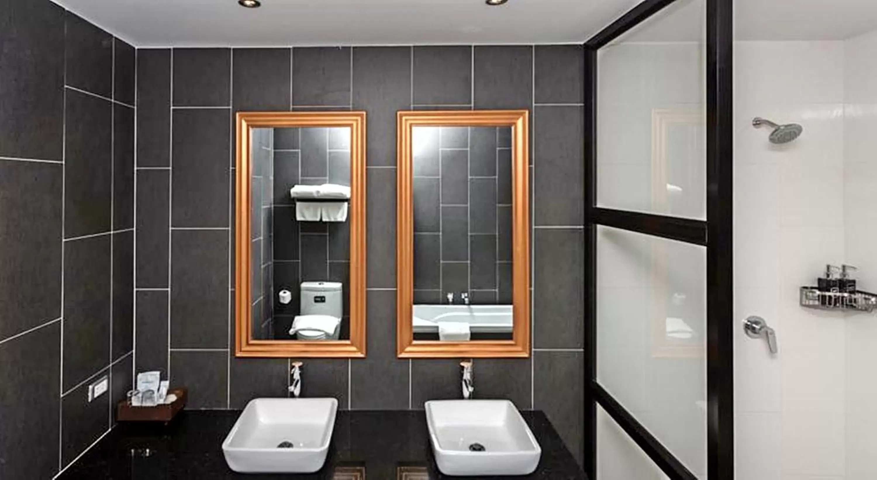 Shower, Bathroom in The Bridge Residence Hotel