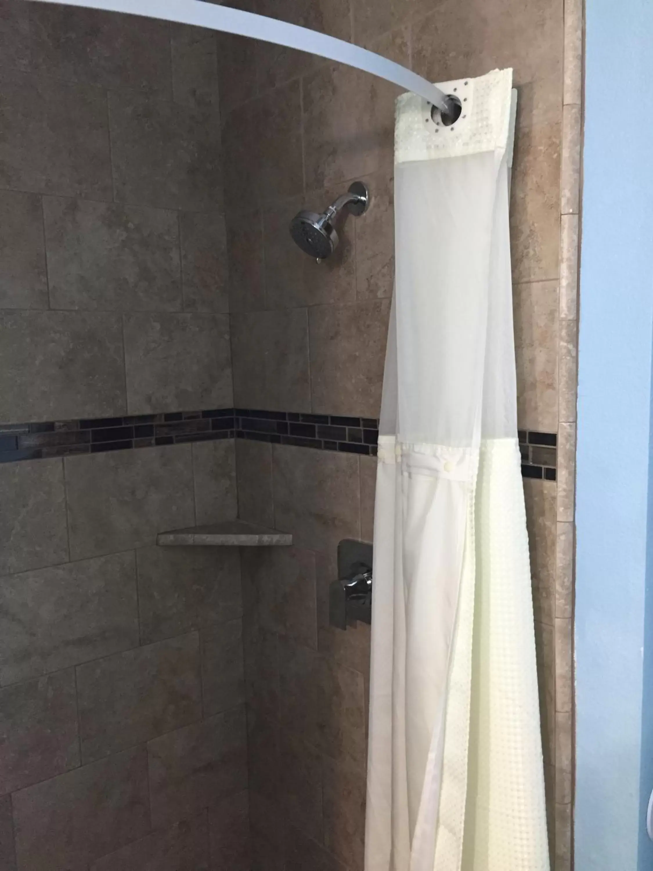 Shower, Bathroom in Dolphin Cove Motel