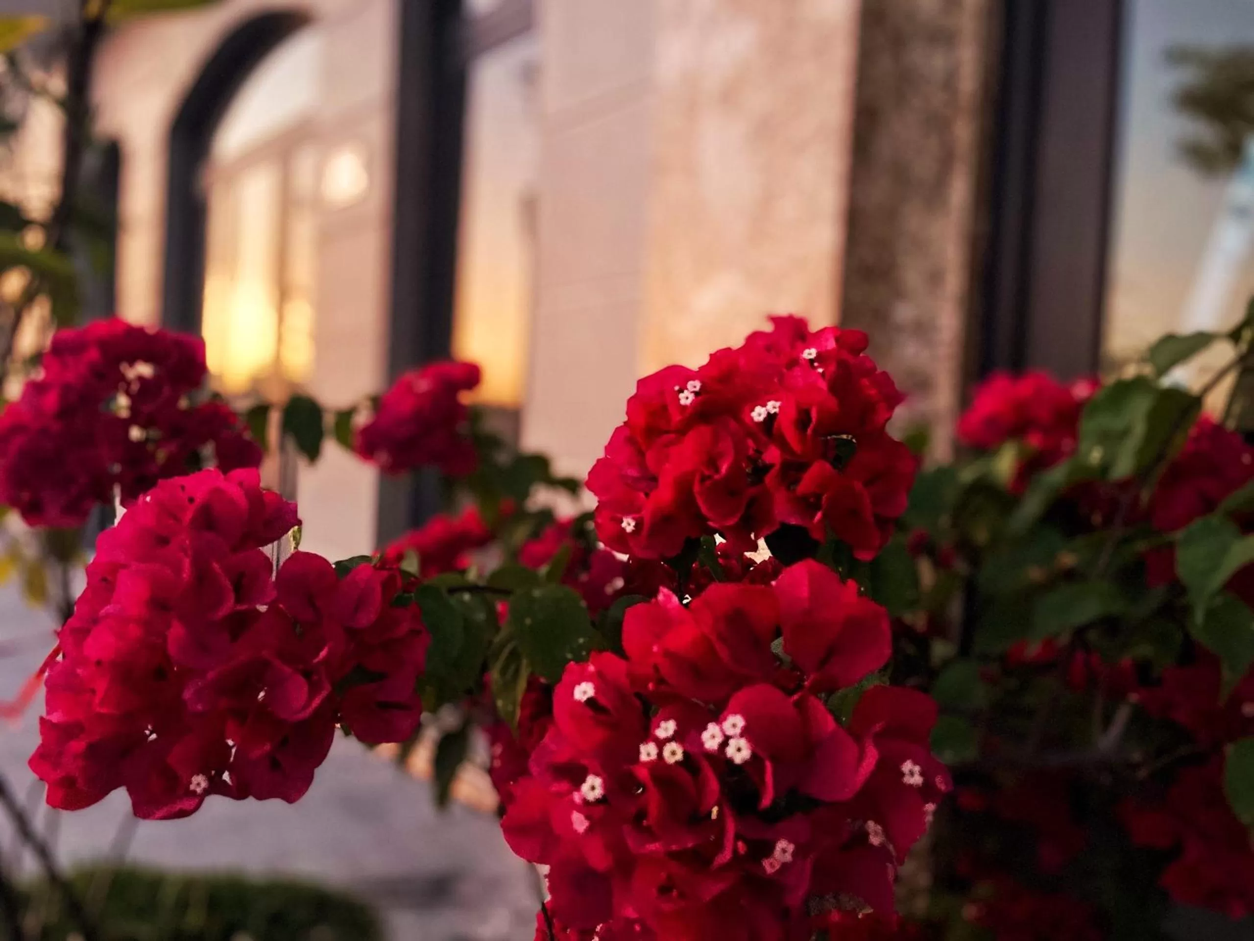 Facade/entrance in Elysinam Boutique Hotel Ha Long