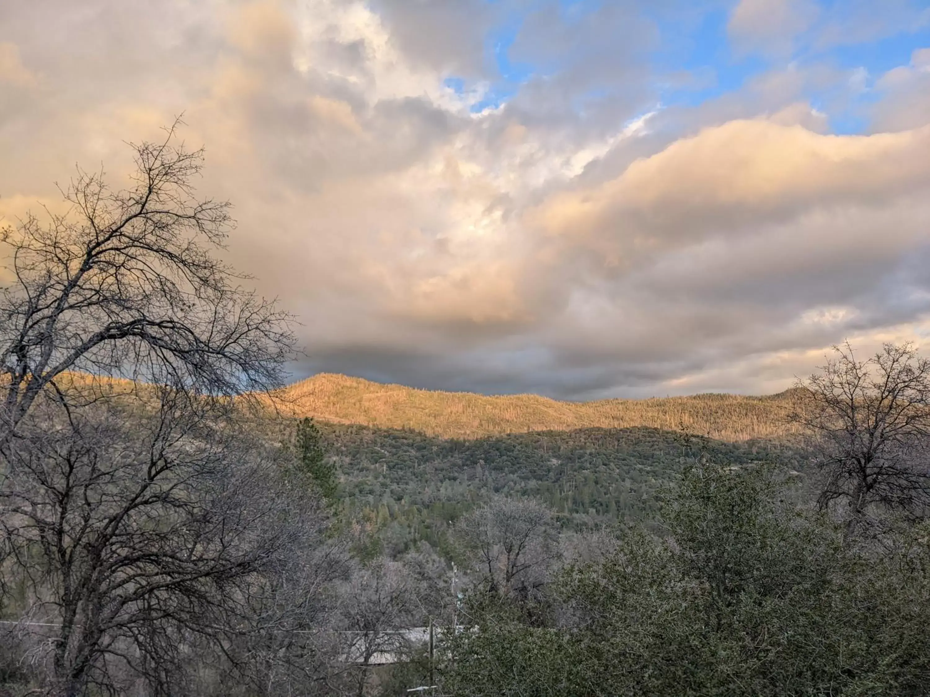 View (from property/room), Natural Landscape in A Bed of Roses