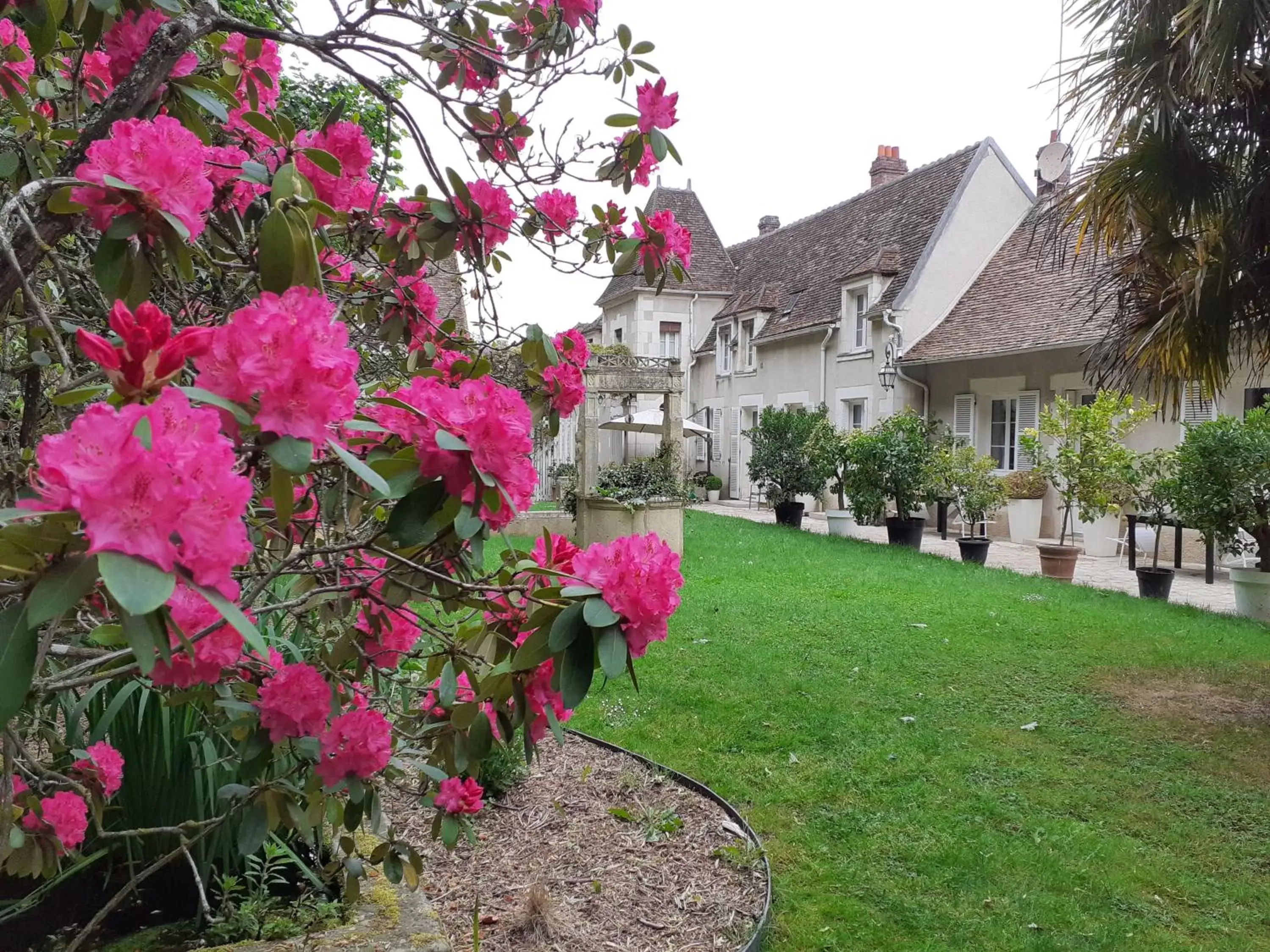 Garden, Property Building in Chambres et Tables d'hôtes du Puits d'Athie