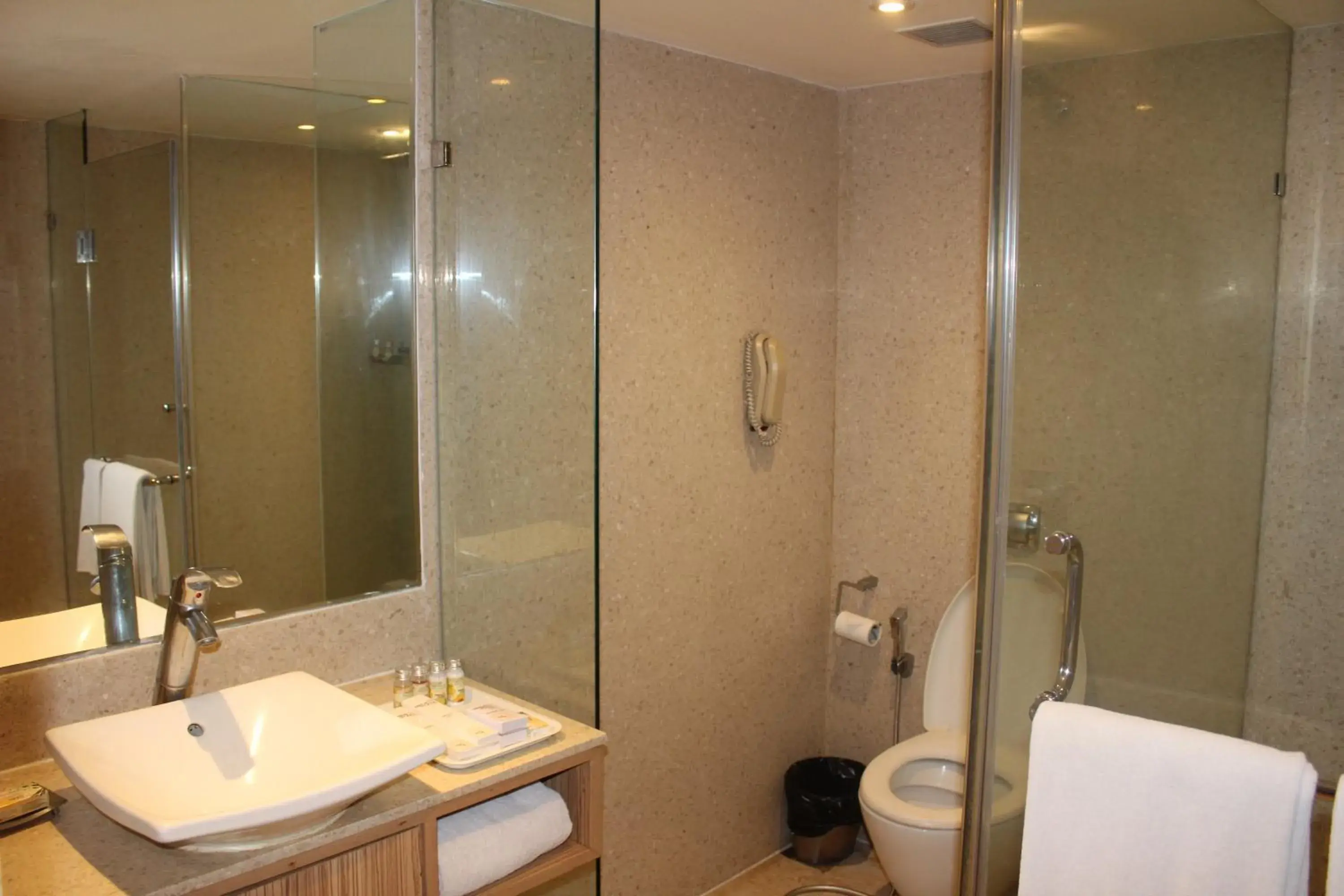 Bathroom in Pride Plaza Hotel, Ahmedabad