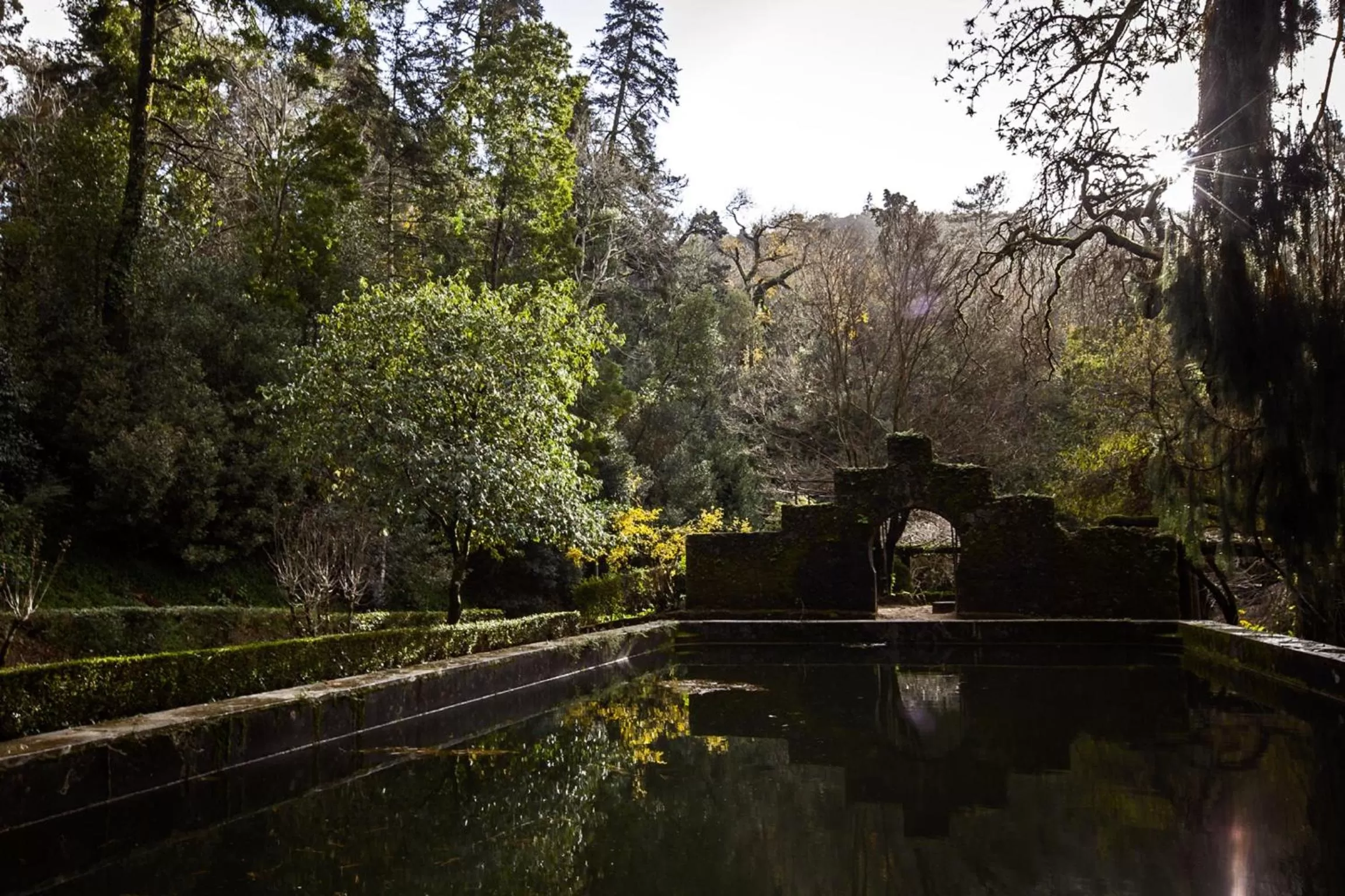 Garden in Palace Hotel do Bussaco