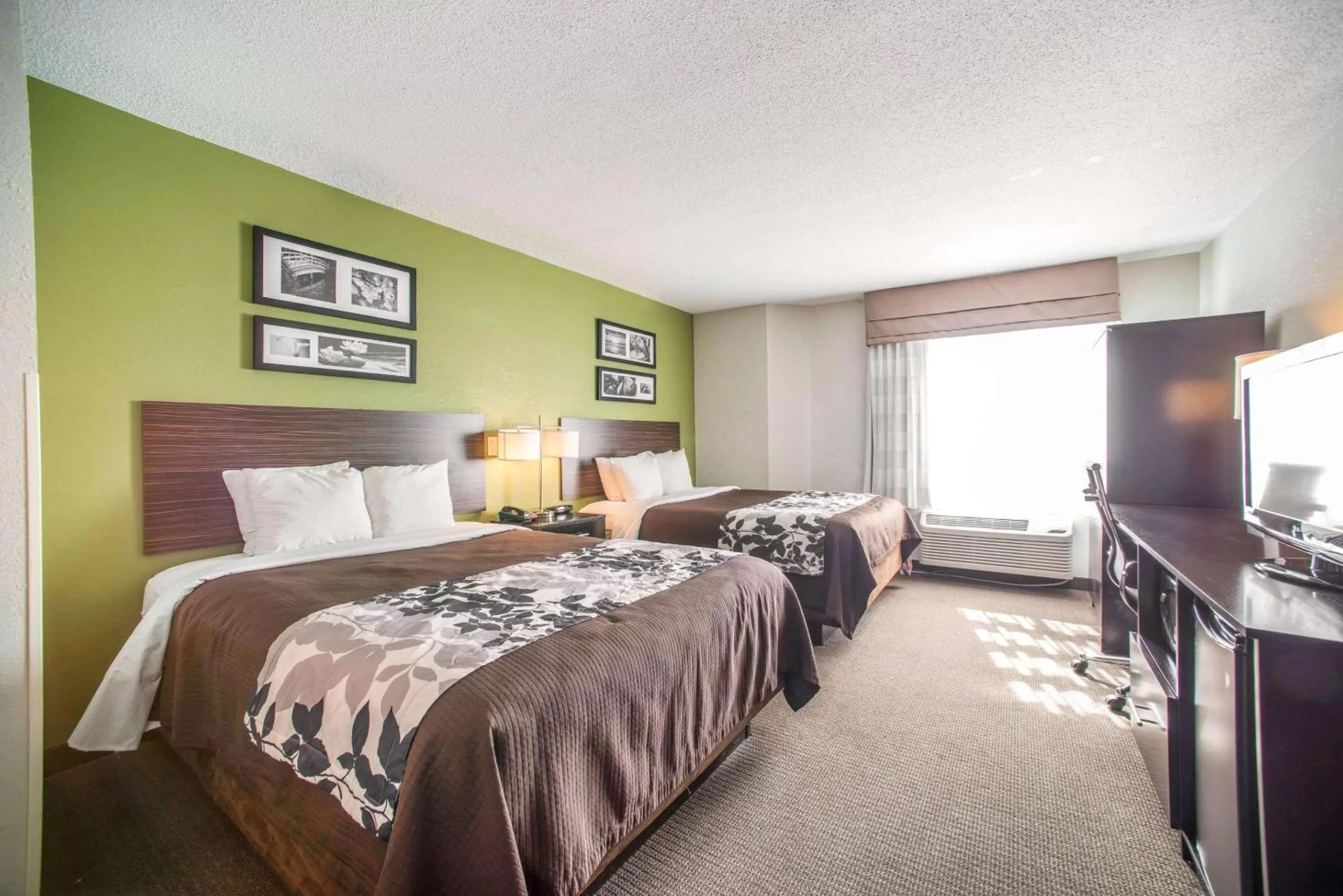 Photo of the whole room, Bed in Sleep Inn Decatur I-72