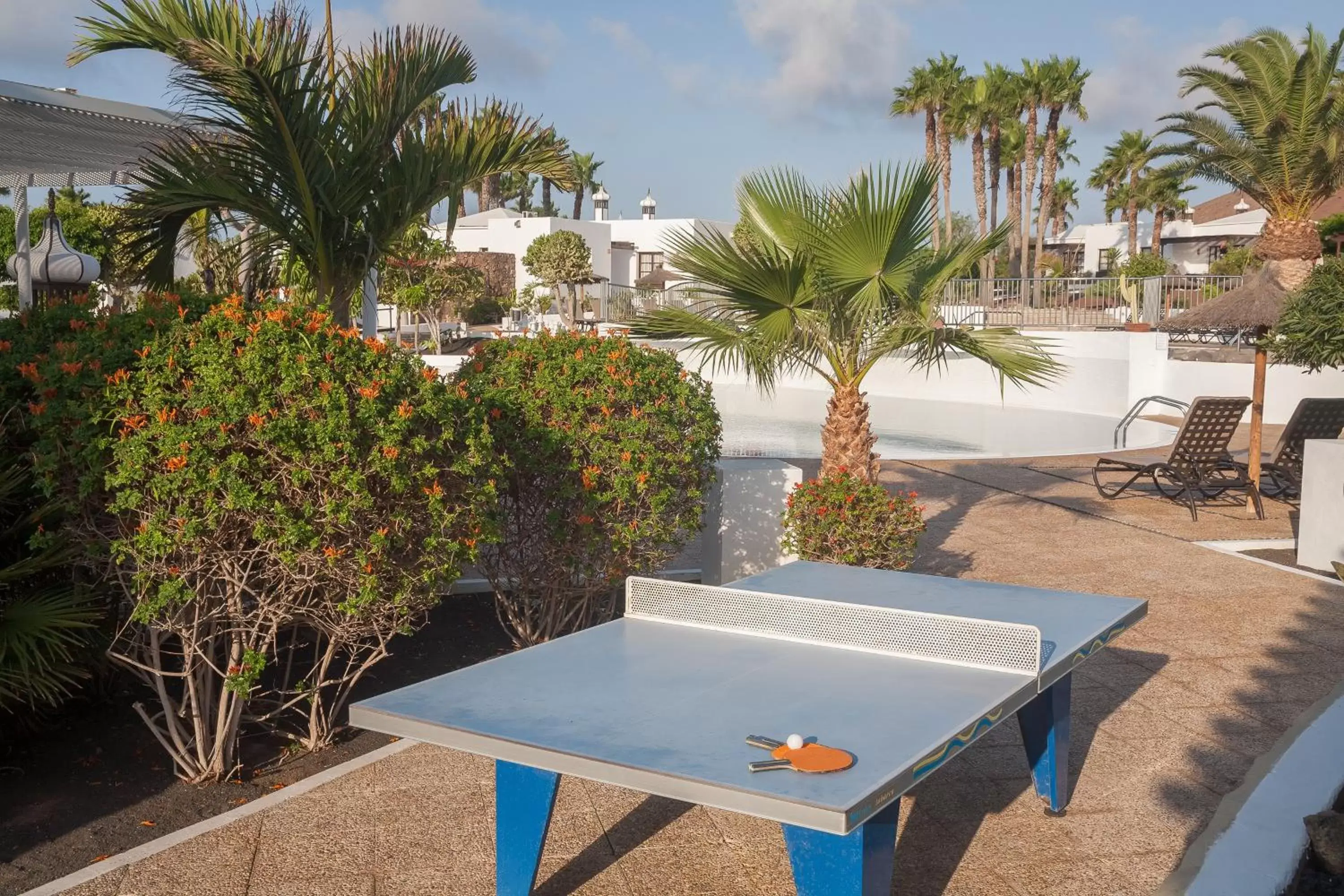 Table Tennis in Jardines del Sol