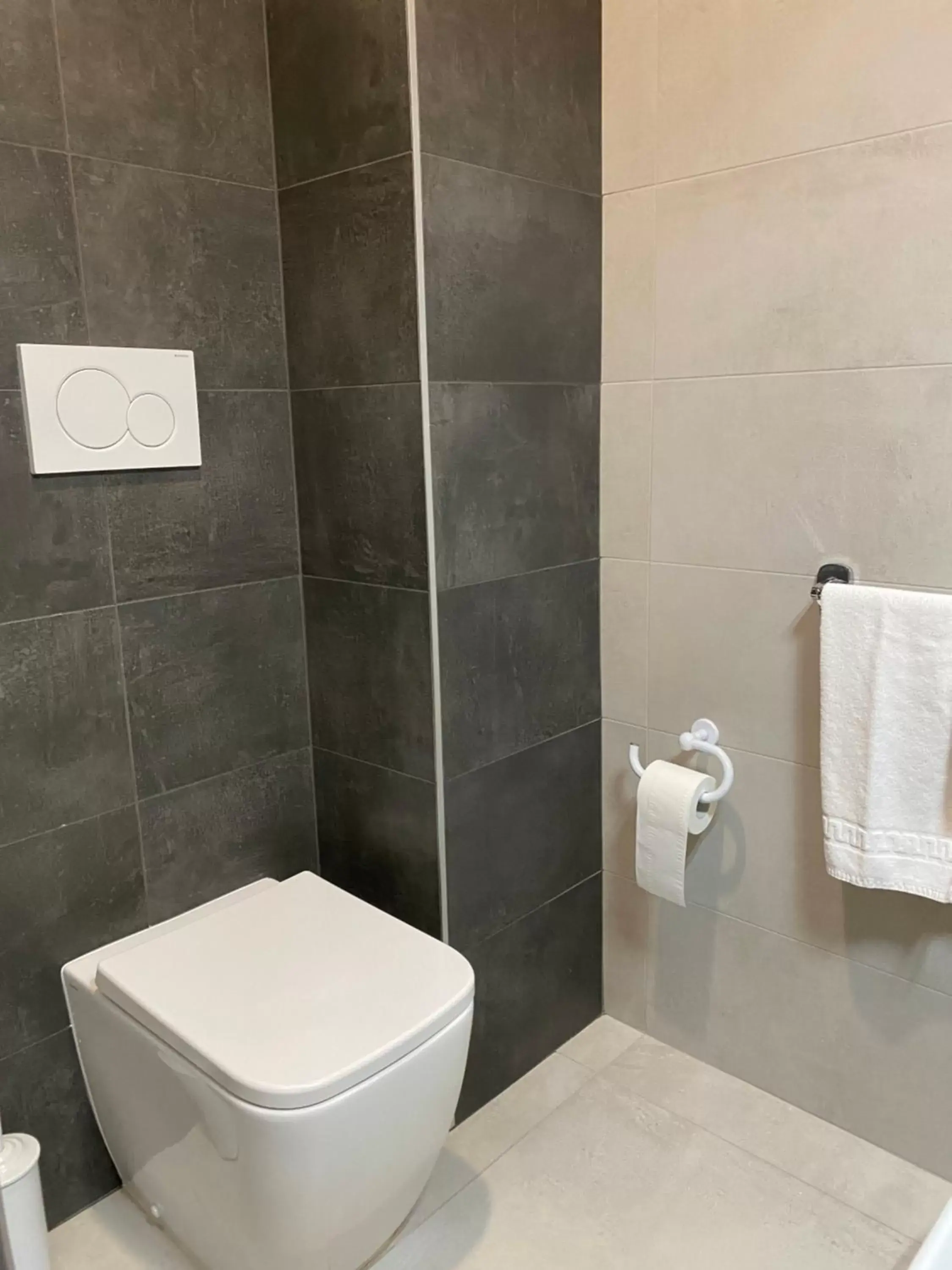 Toilet, Bathroom in Hotel Master