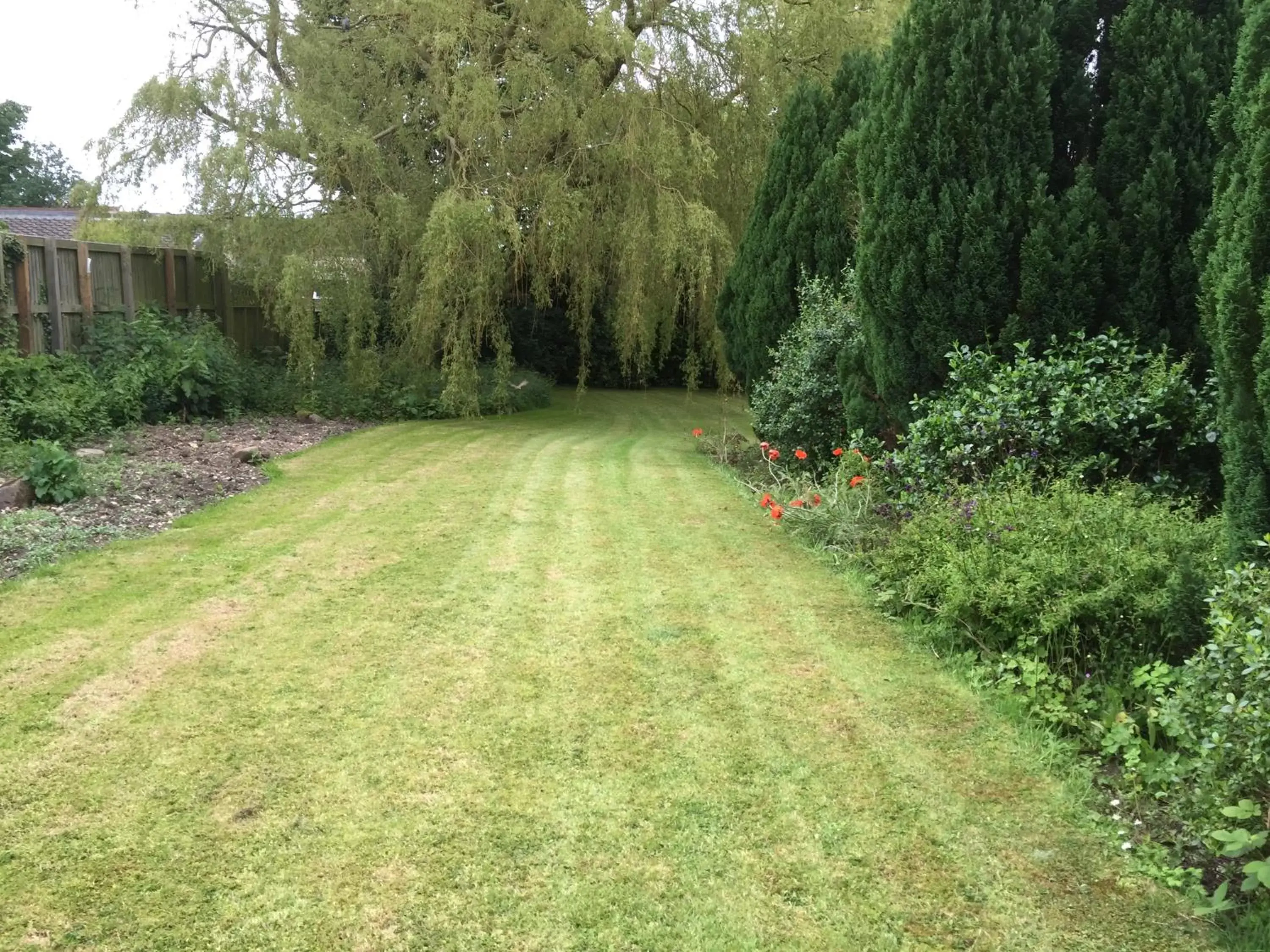 Garden in Wrangham House