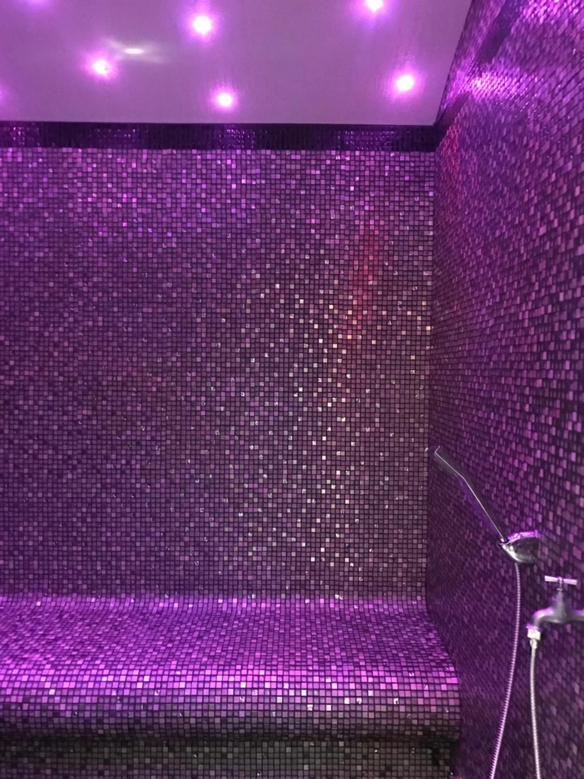 Steam room, Spa/Wellness in La Demeure des 2 Trésors