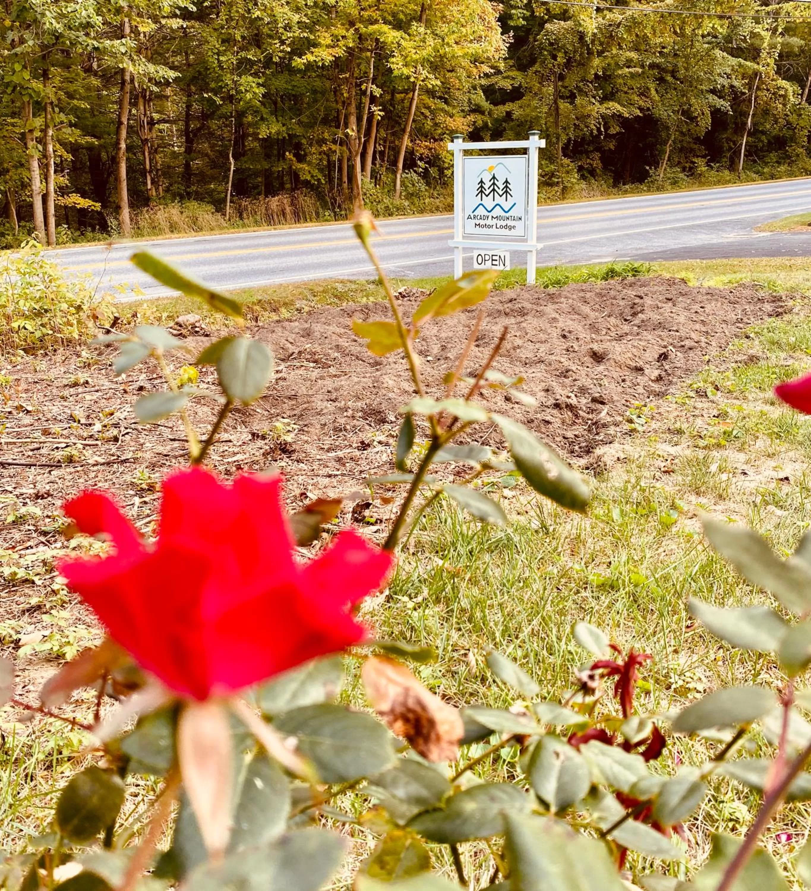 Arcady Mountain Motor Lodge