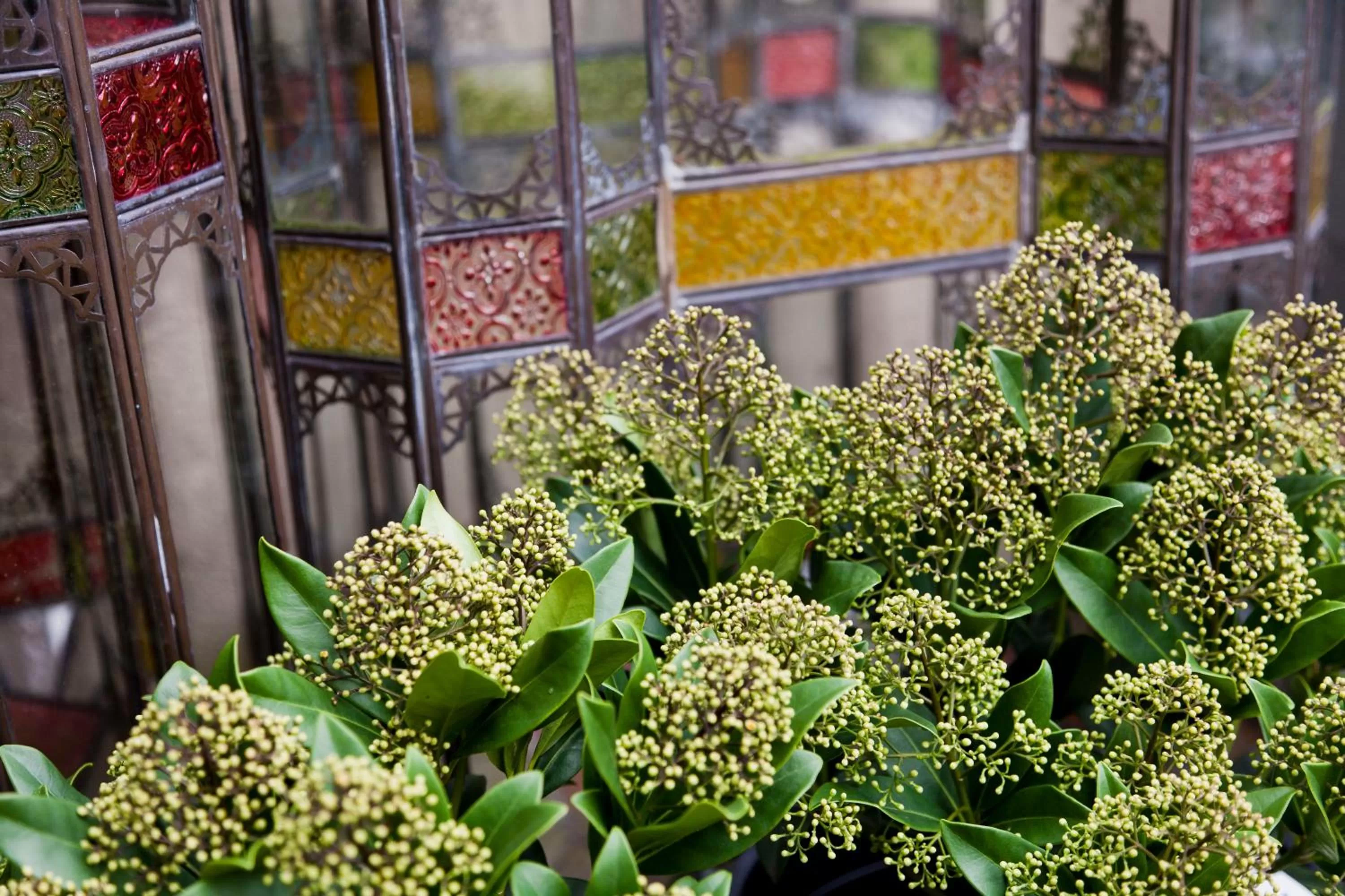 Decorative detail in Hotel Diamonds and Pearls