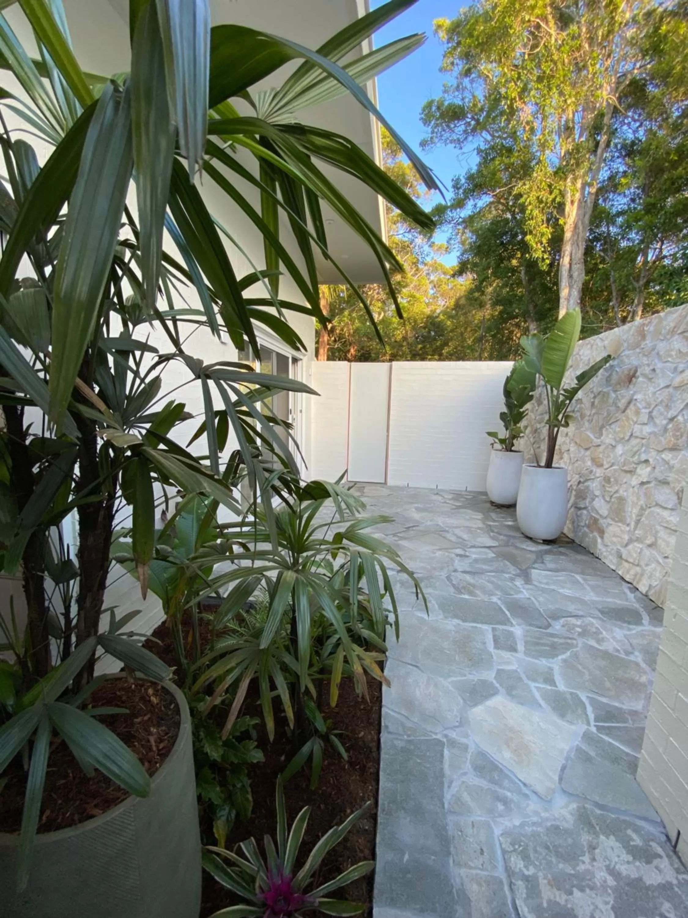 Garden view in Tallowwood House Luxury Bed & Breakfast