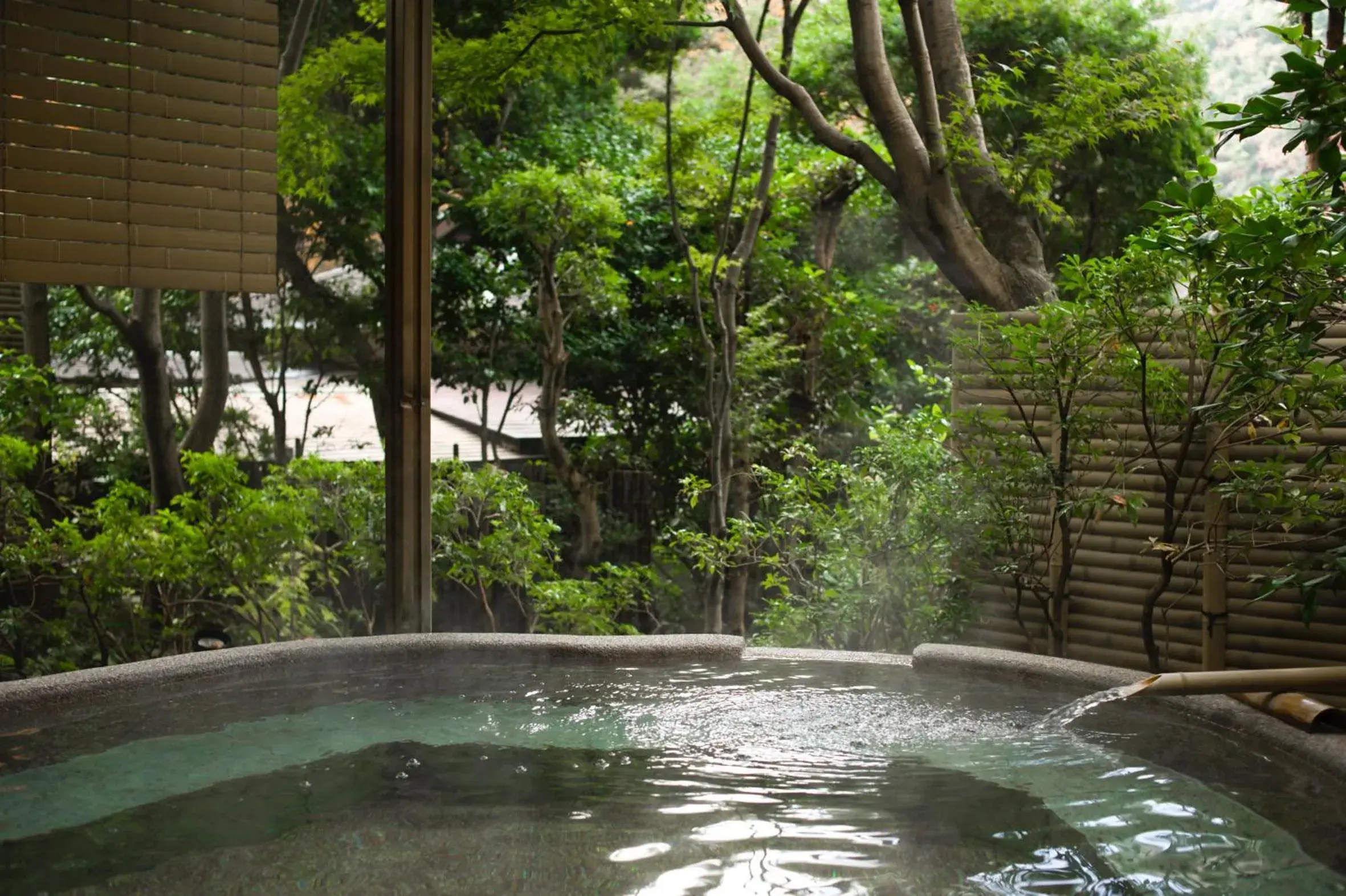 Hot Spring Bath, Swimming Pool in Tsubaki