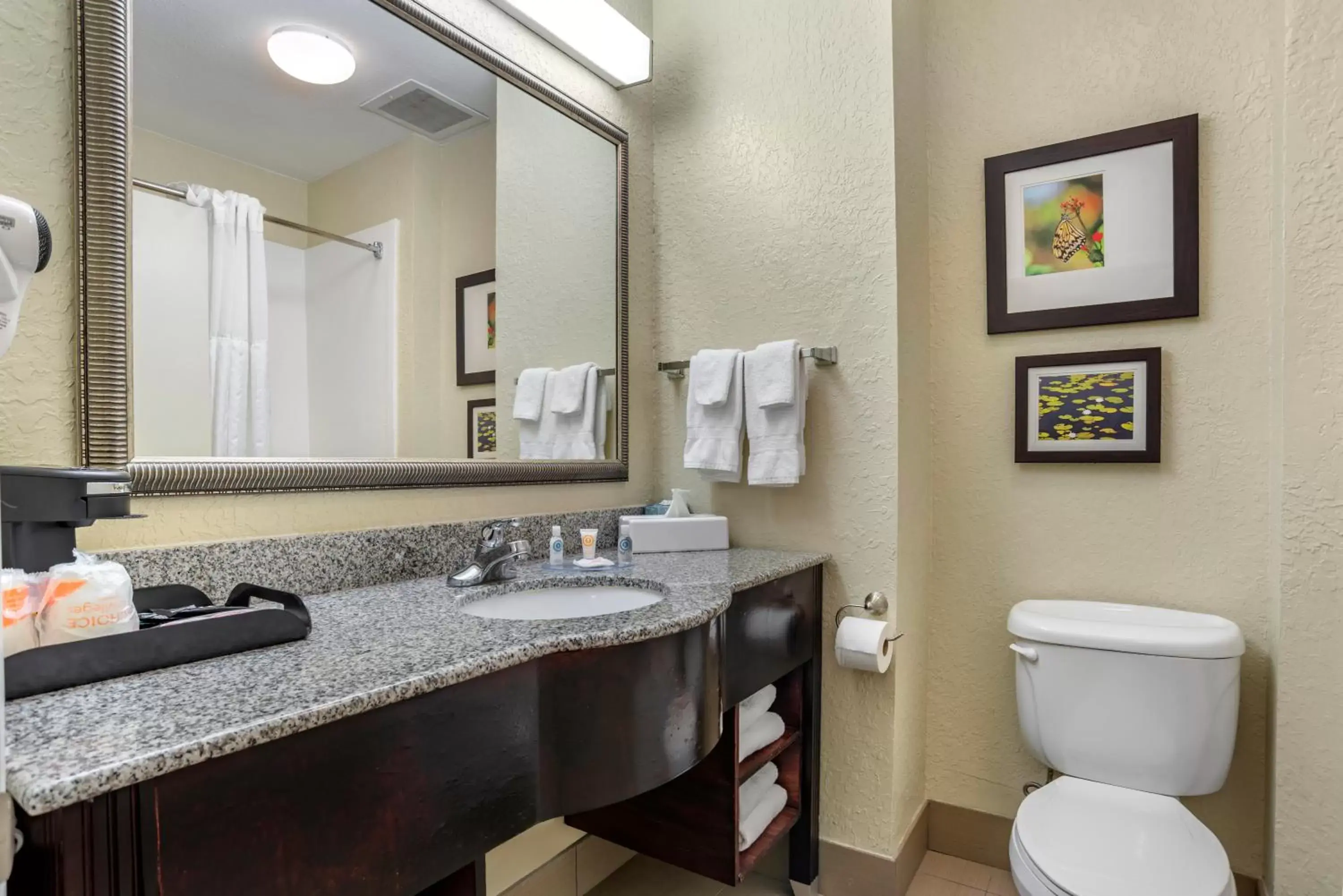 Bathroom in Comfort Inn & Suites Marianna I-10