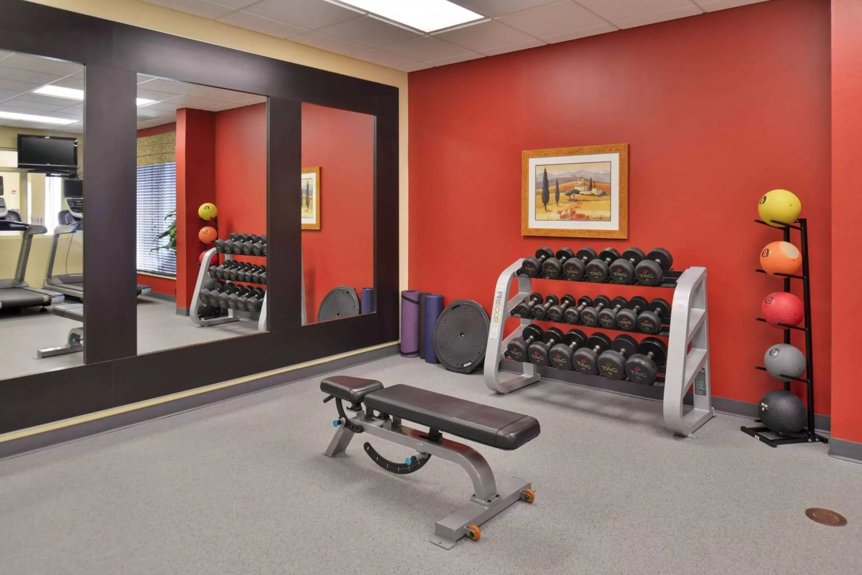 Fitness centre/facilities, Fitness Center/Facilities in Hilton Garden Inn Indianapolis/Carmel