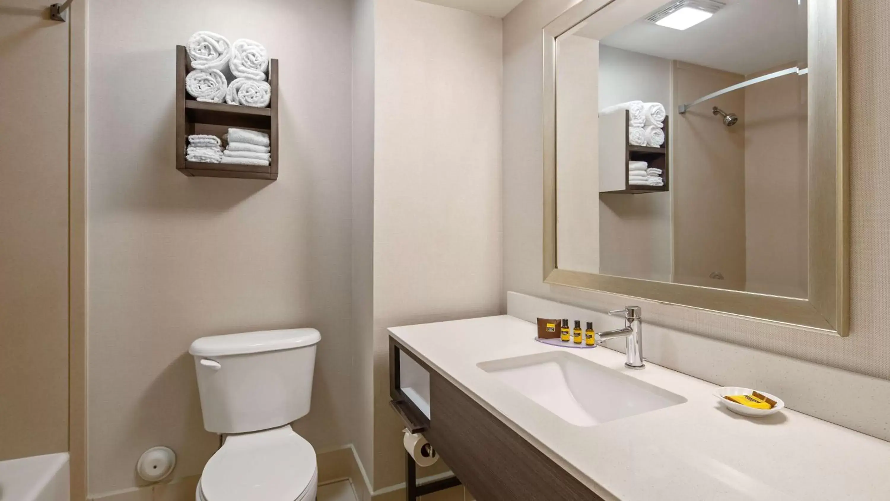 Bathroom in Best Western Plus Kendall Hotel & Suites