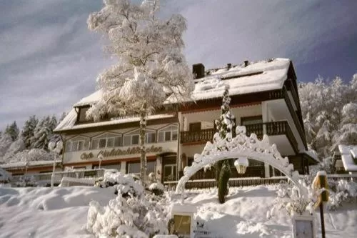 Facade/entrance in Waldschlösschen
