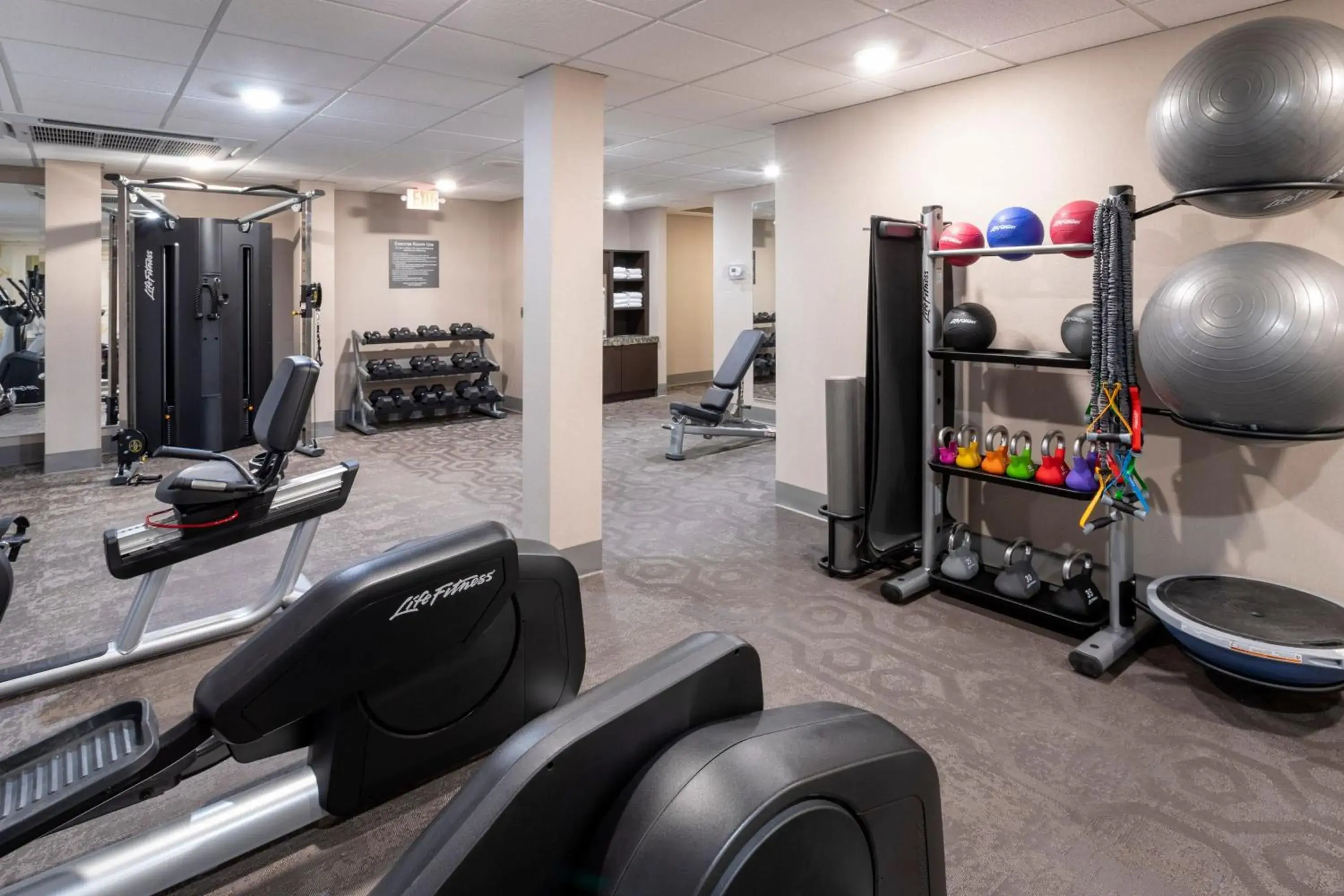 Fitness centre/facilities, Fitness Center/Facilities in Residence Inn Minneapolis St. Paul/Roseville