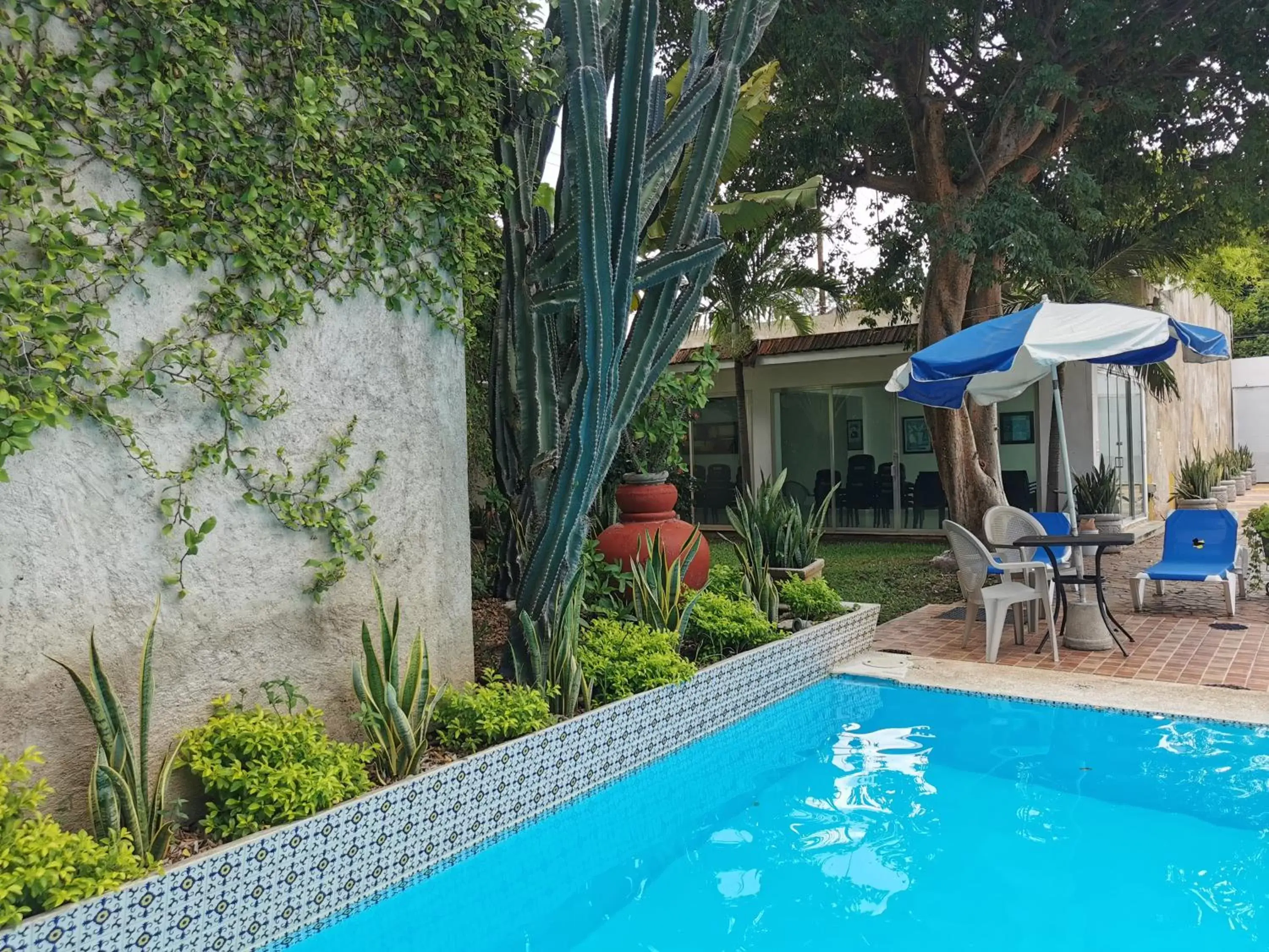 Patio, Swimming Pool in Hotel Las Dalias Inn