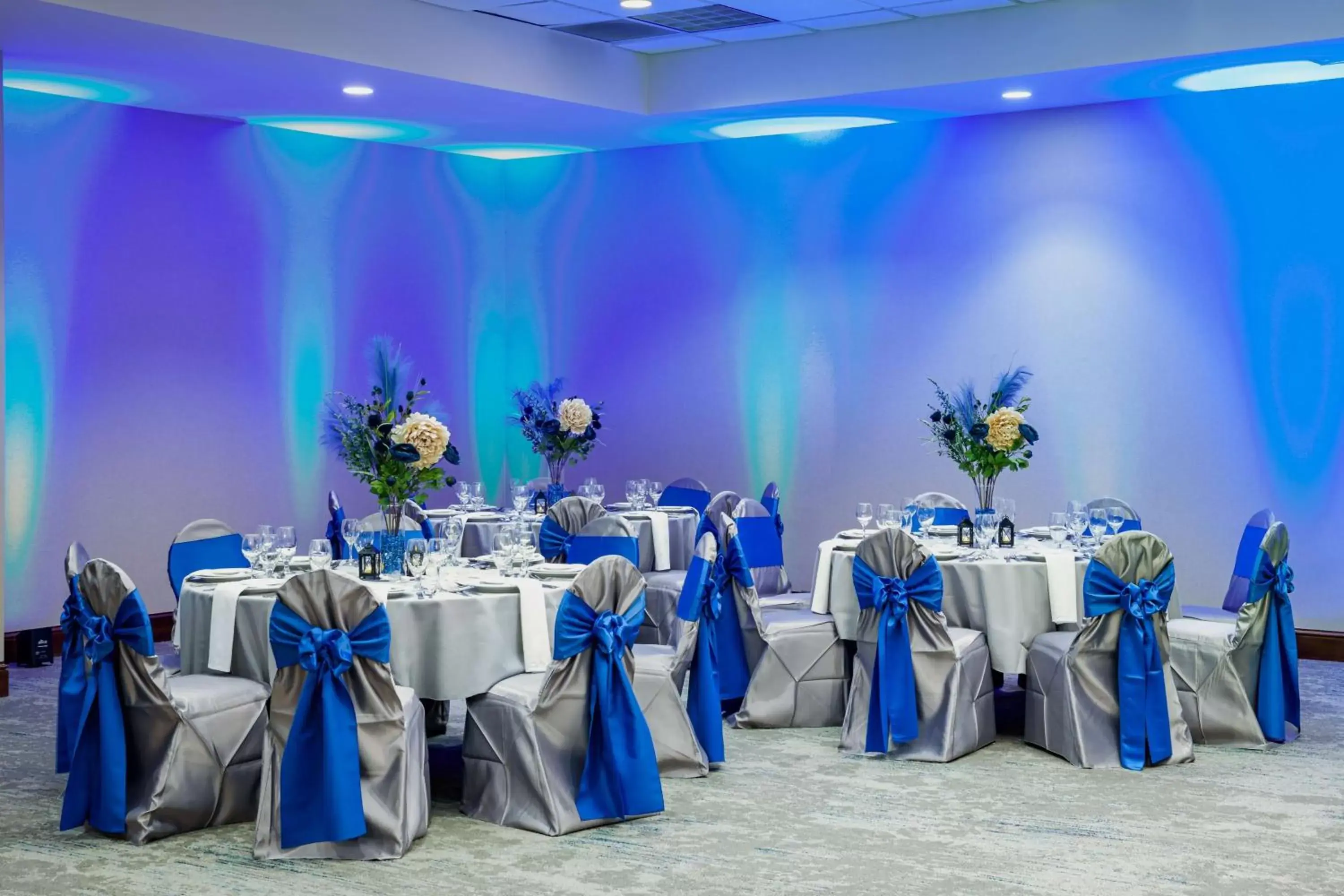 Meeting/conference room, Banquet Facilities in Hilton Garden Inn Chicago O'Hare Airport