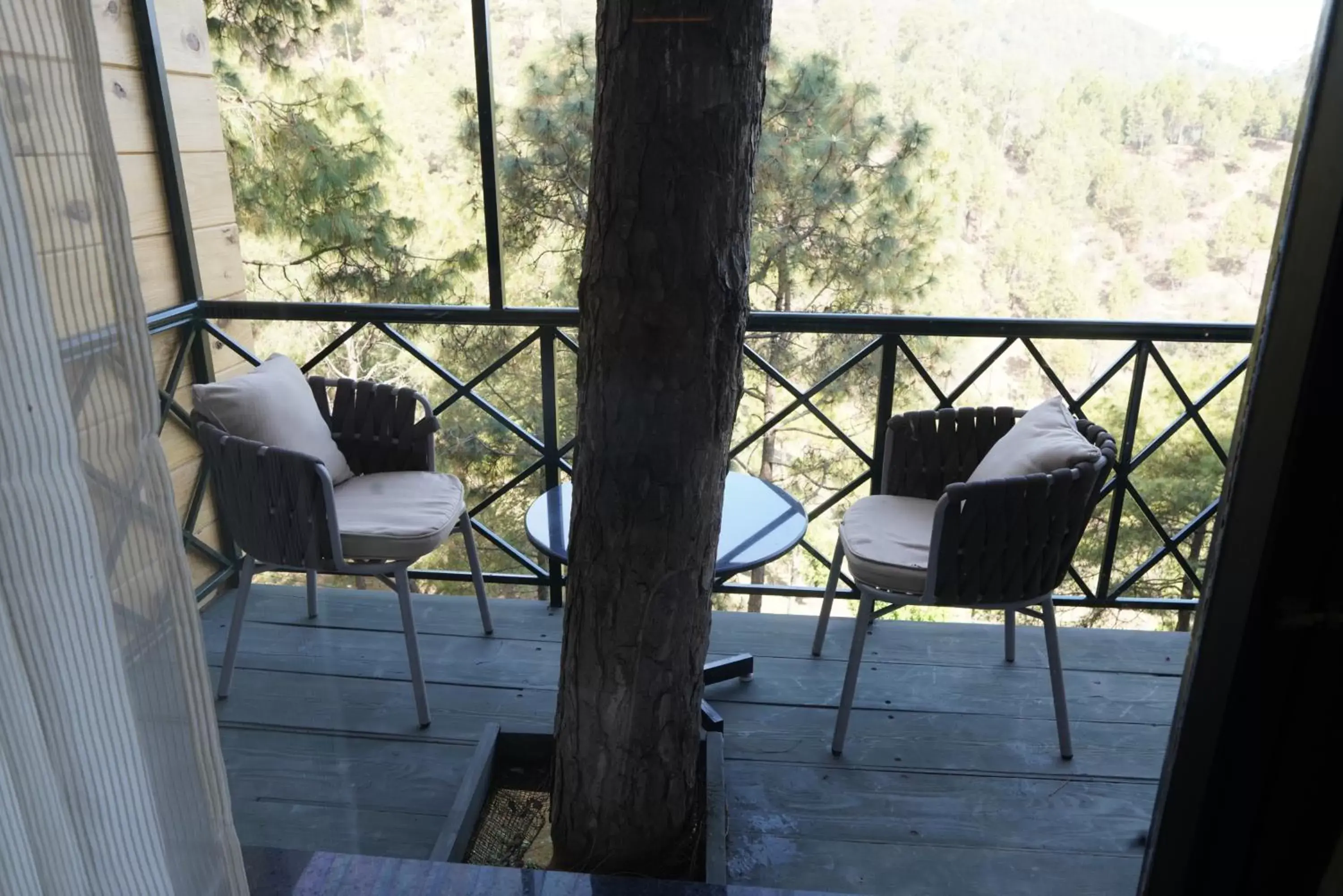 Balcony/Terrace in Kasauli Hills Resort