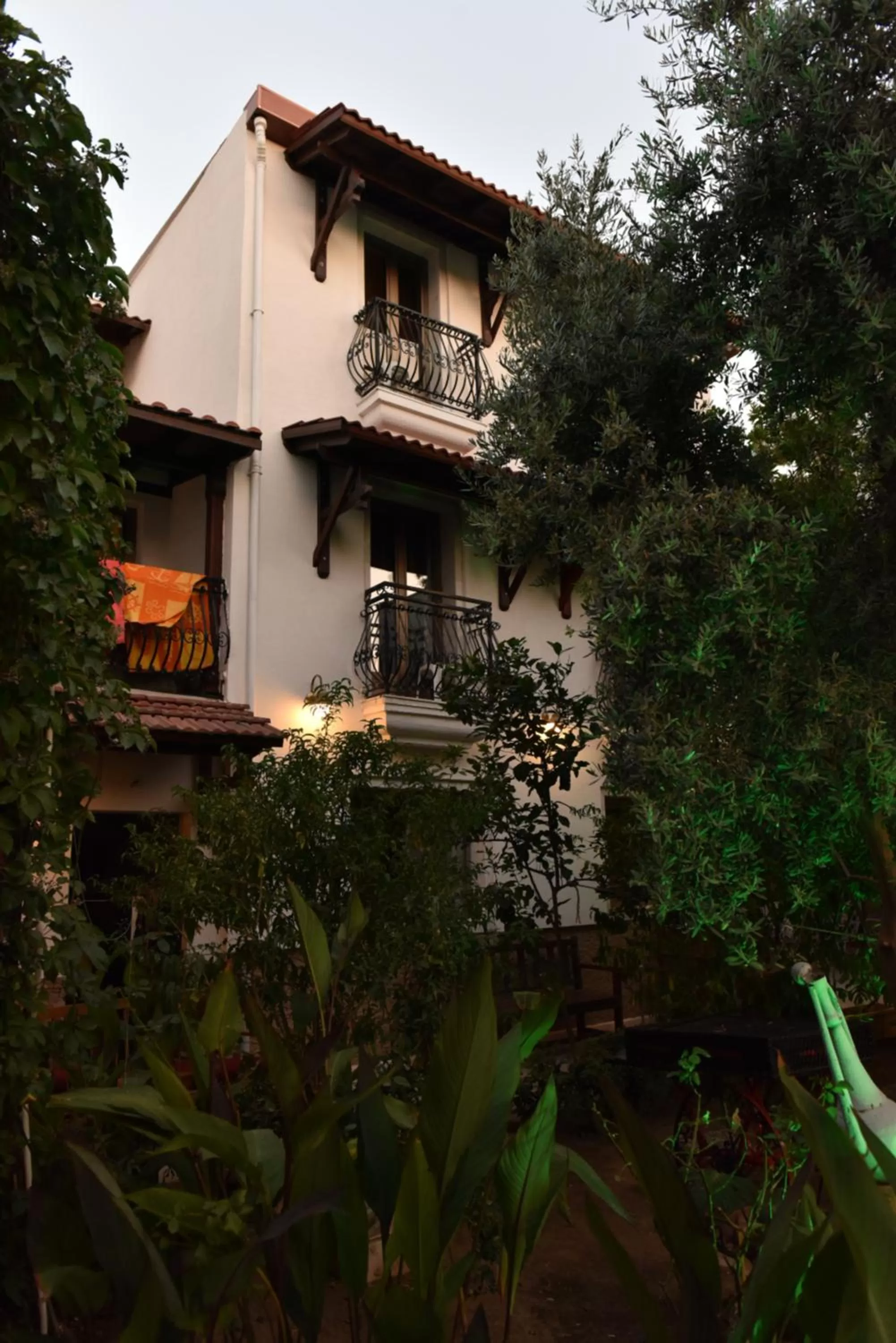 Garden view in Istankoy Hotel