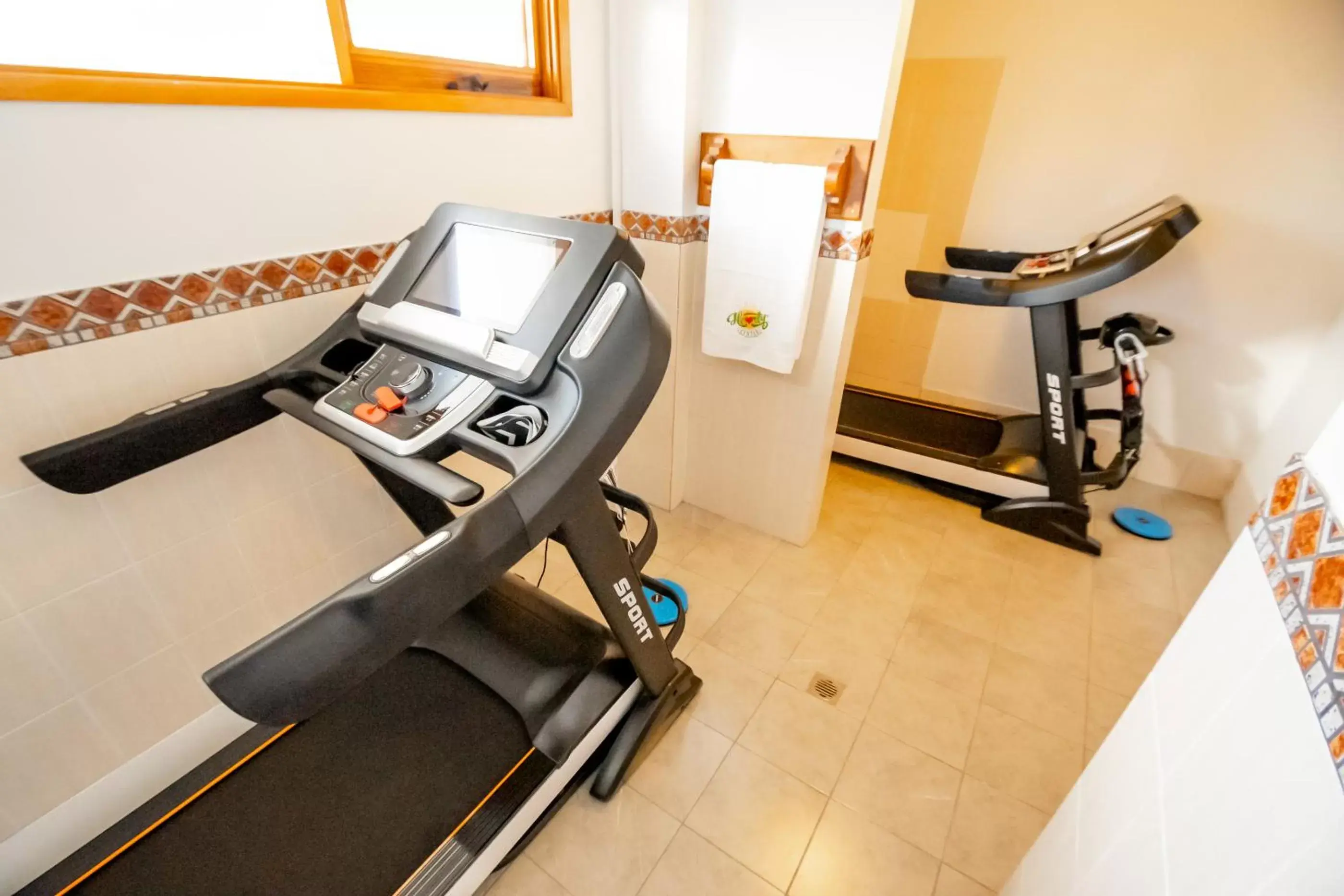 Fitness centre/facilities, Fitness Center/Facilities in Hearty Center Motel
