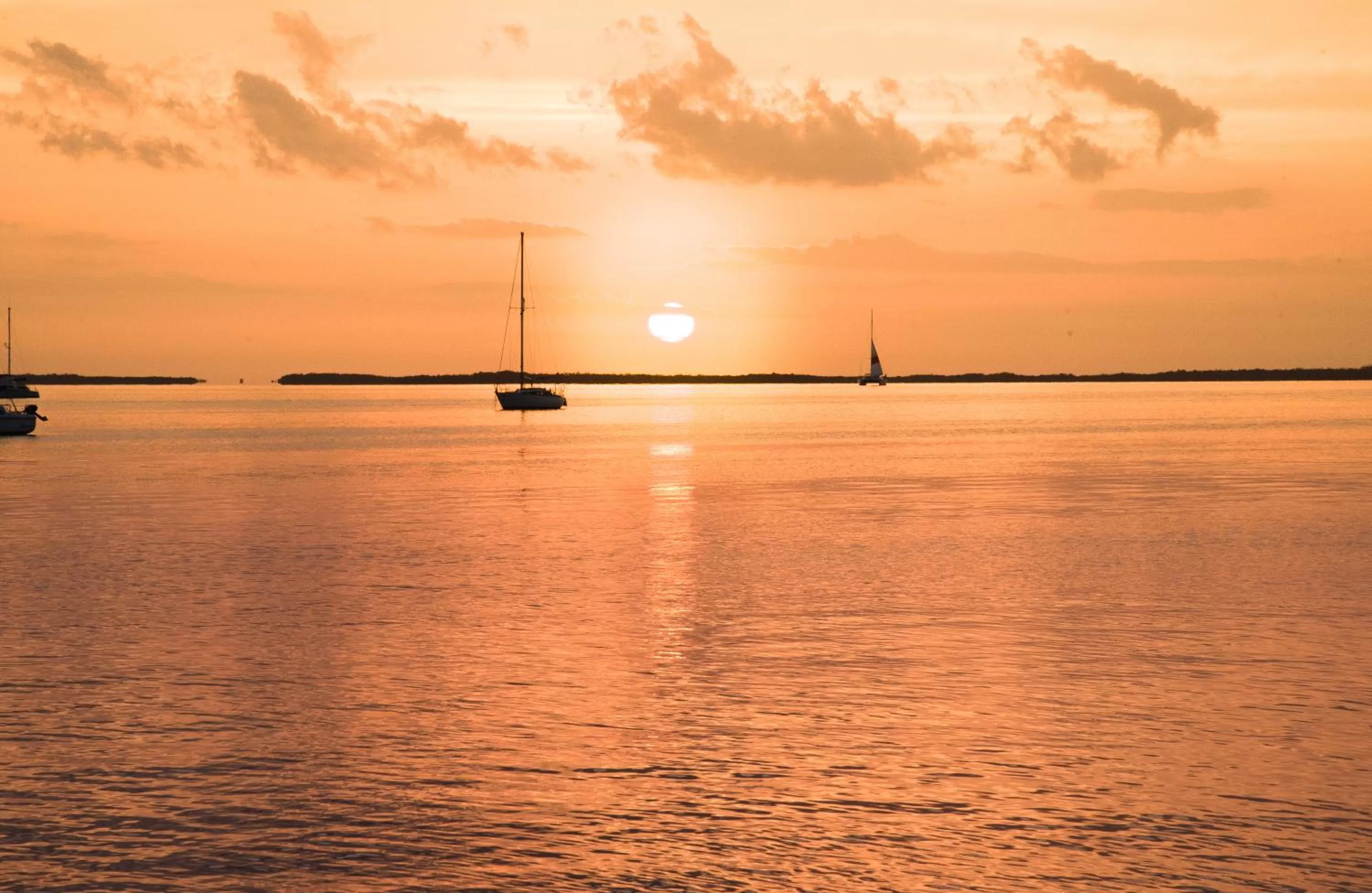 View (from property/room) in Bayside Inn Key Largo