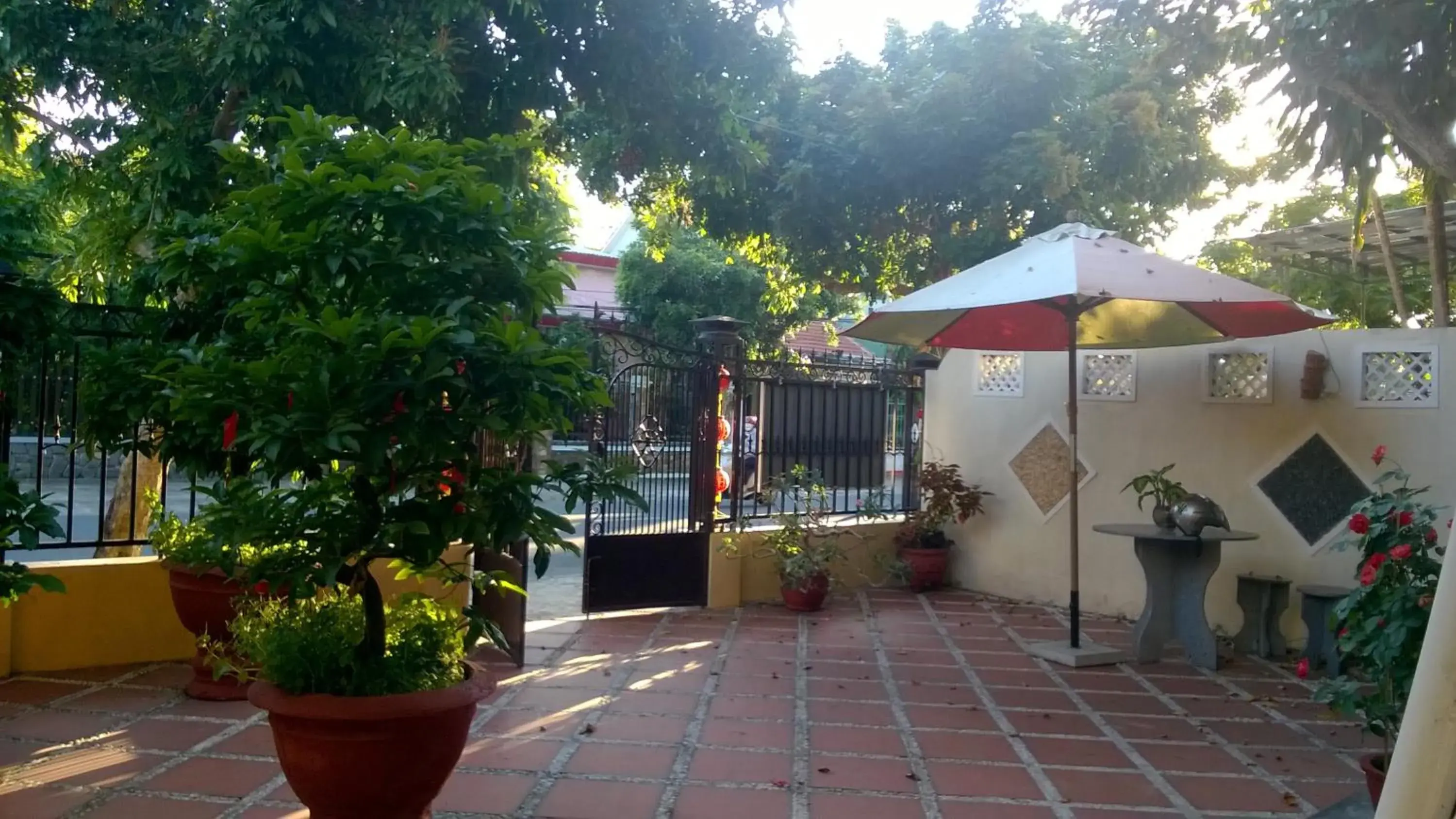 Garden in Sac Xanh Homestay Garden in Sac Xanh Homestay