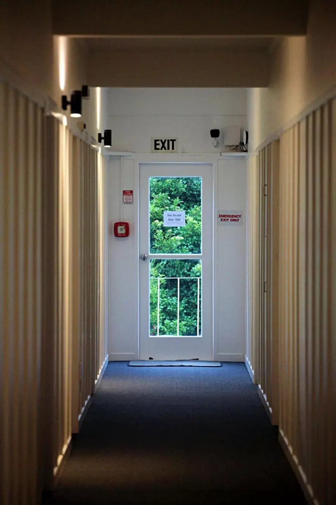 Decorative detail in Parnell Pines Hotel