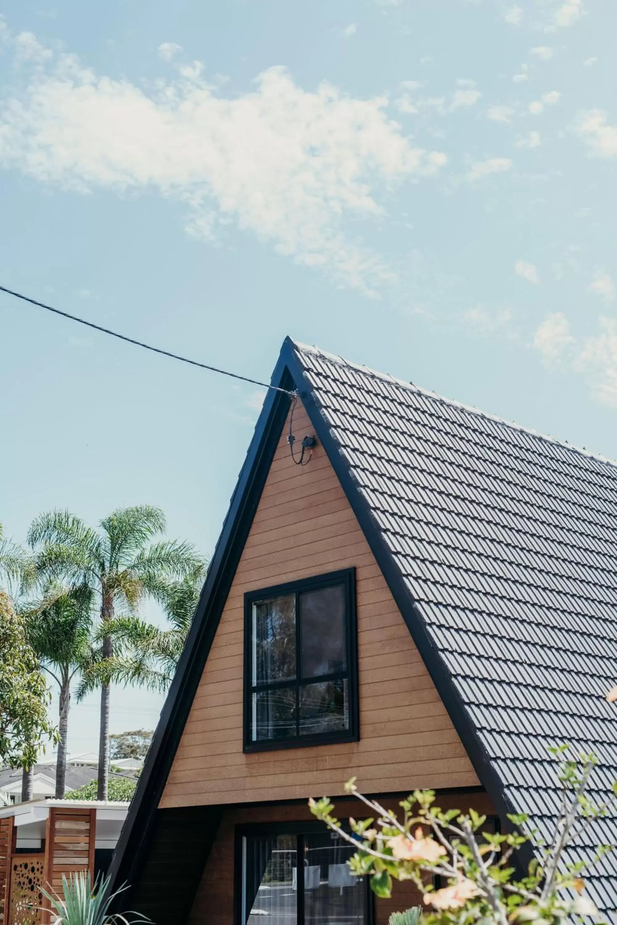 Property Building in Nelson Palms