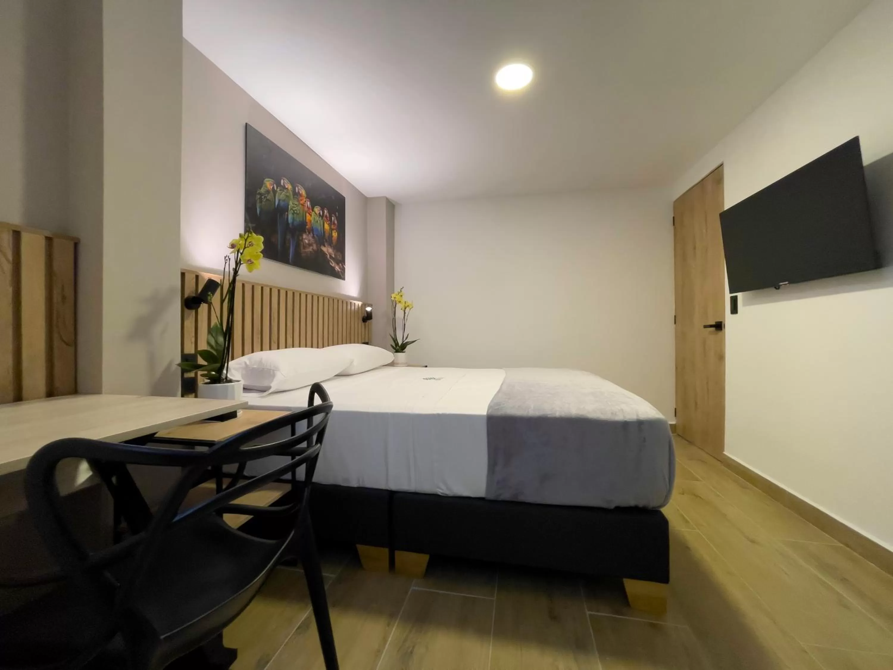 TV and multimedia, Bed in Vita Hotel Boutique - Aire Acondicionado & Desayuno