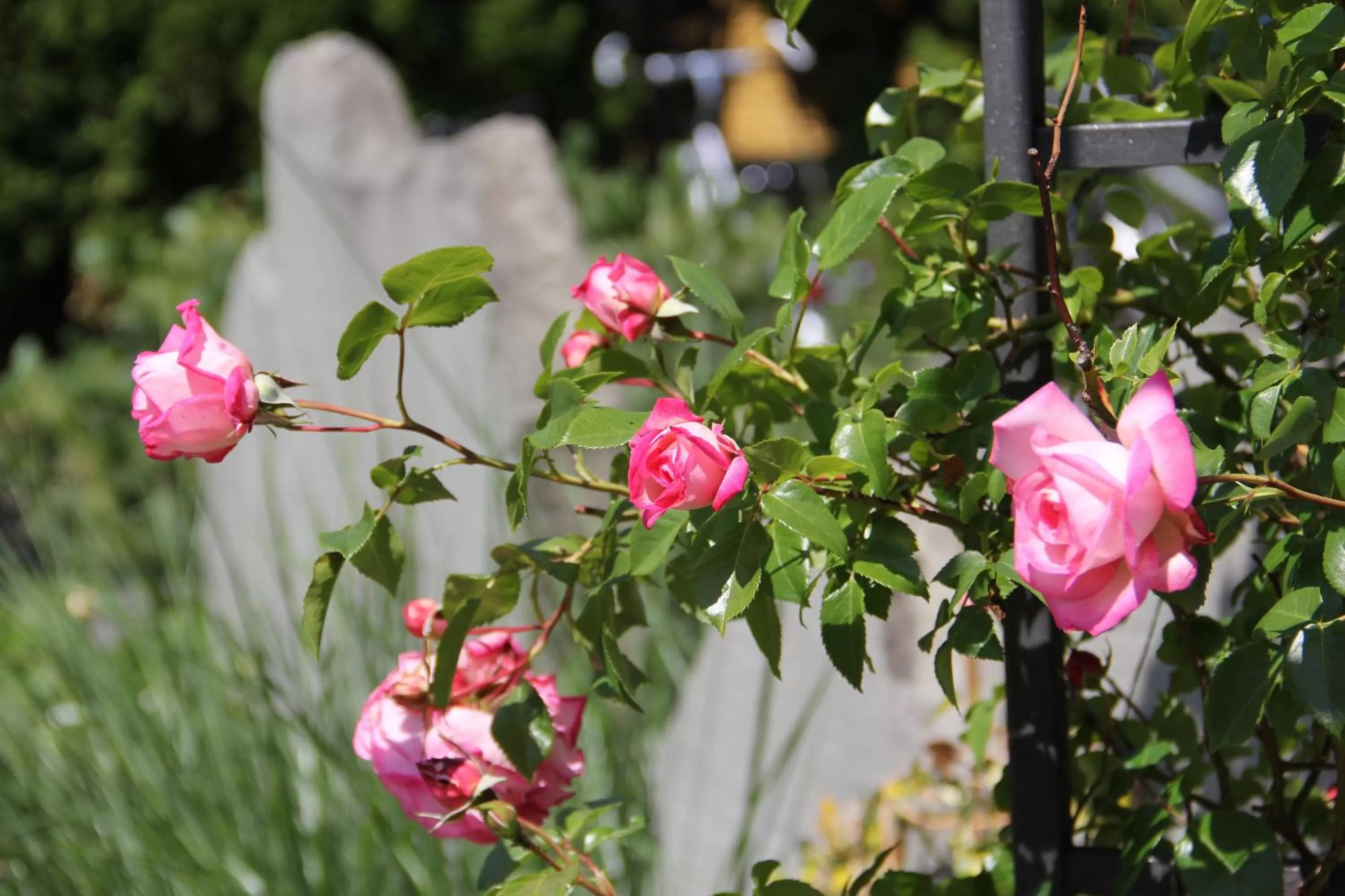 Decorative detail in Hotel Appenzell