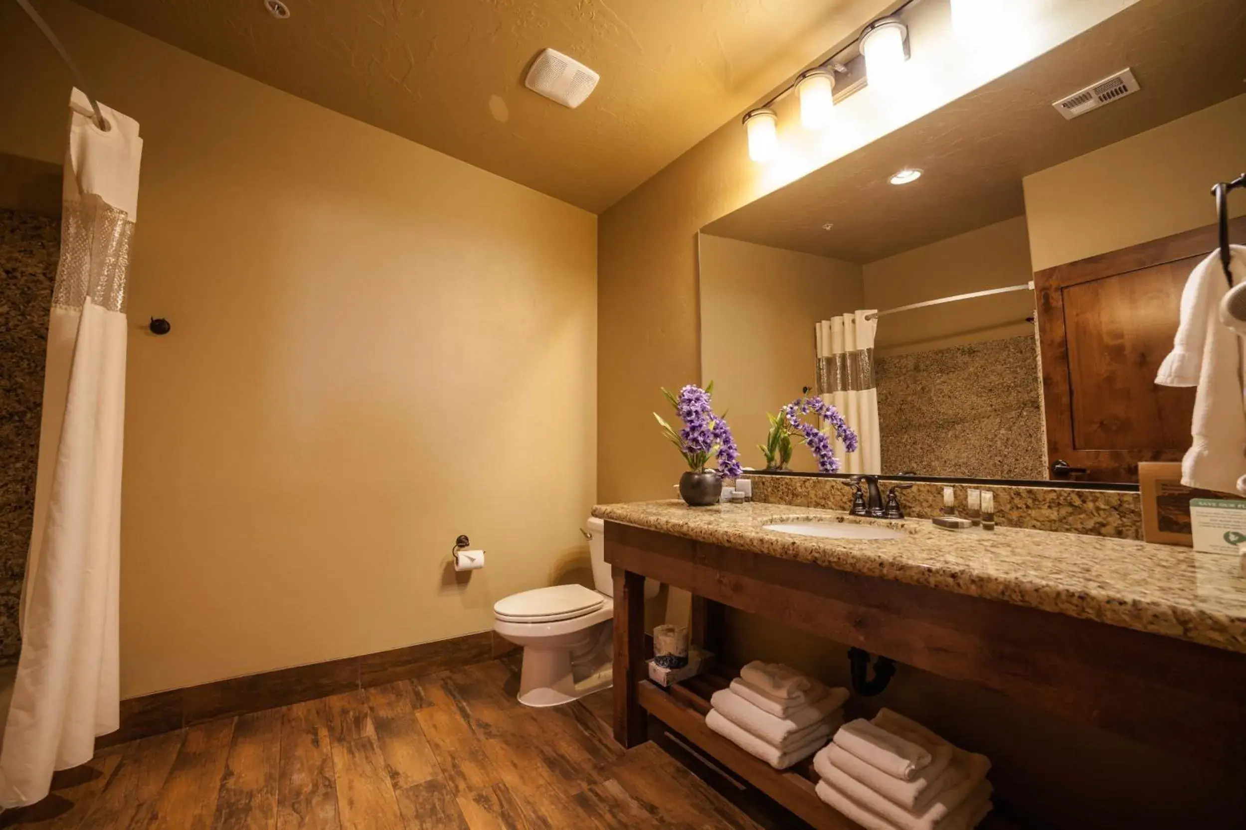 Toilet, Bathroom in Cable Mountain Lodge