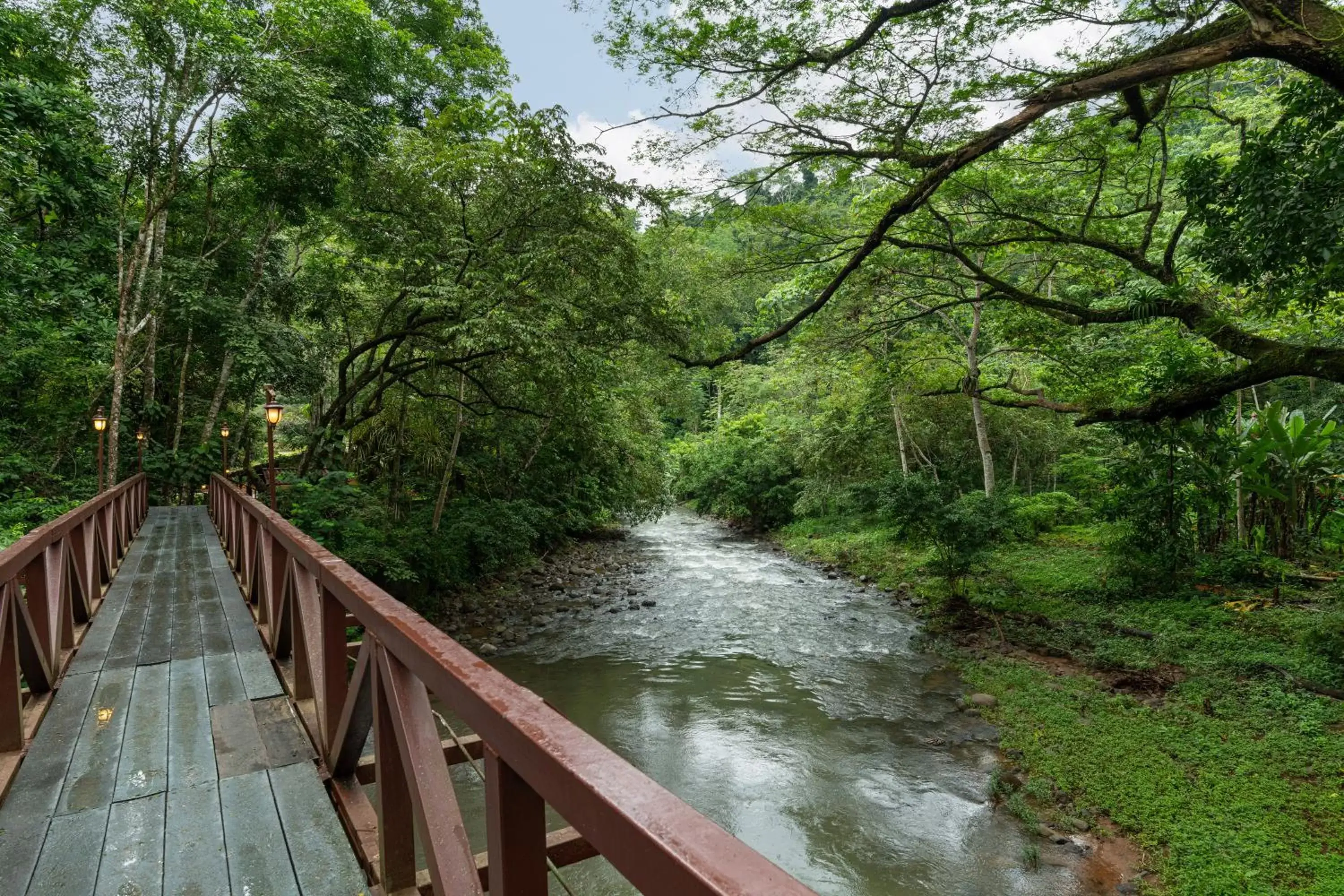 River view in Villa Lapas Jungle Village