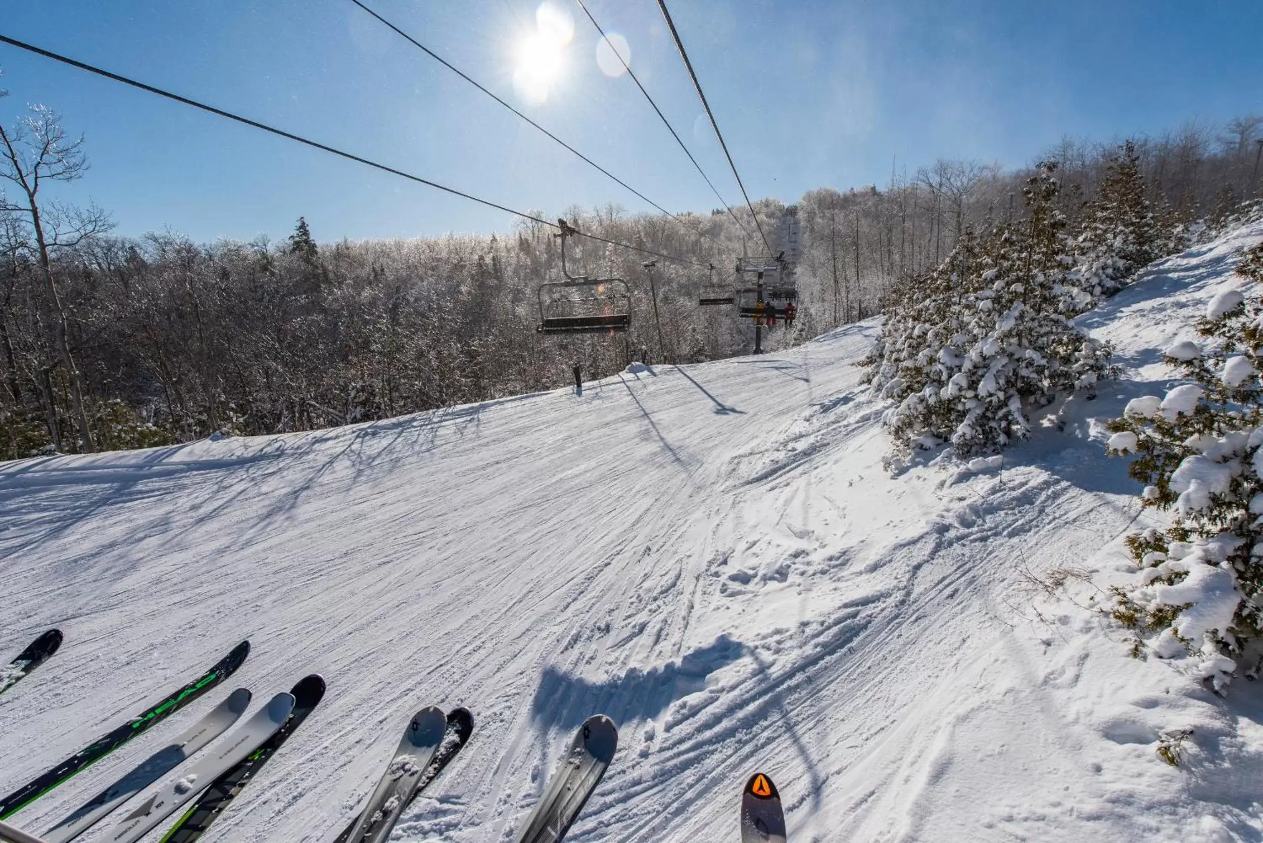 Skiing, Winter in Blue Mountain Resort Mosaic Suites